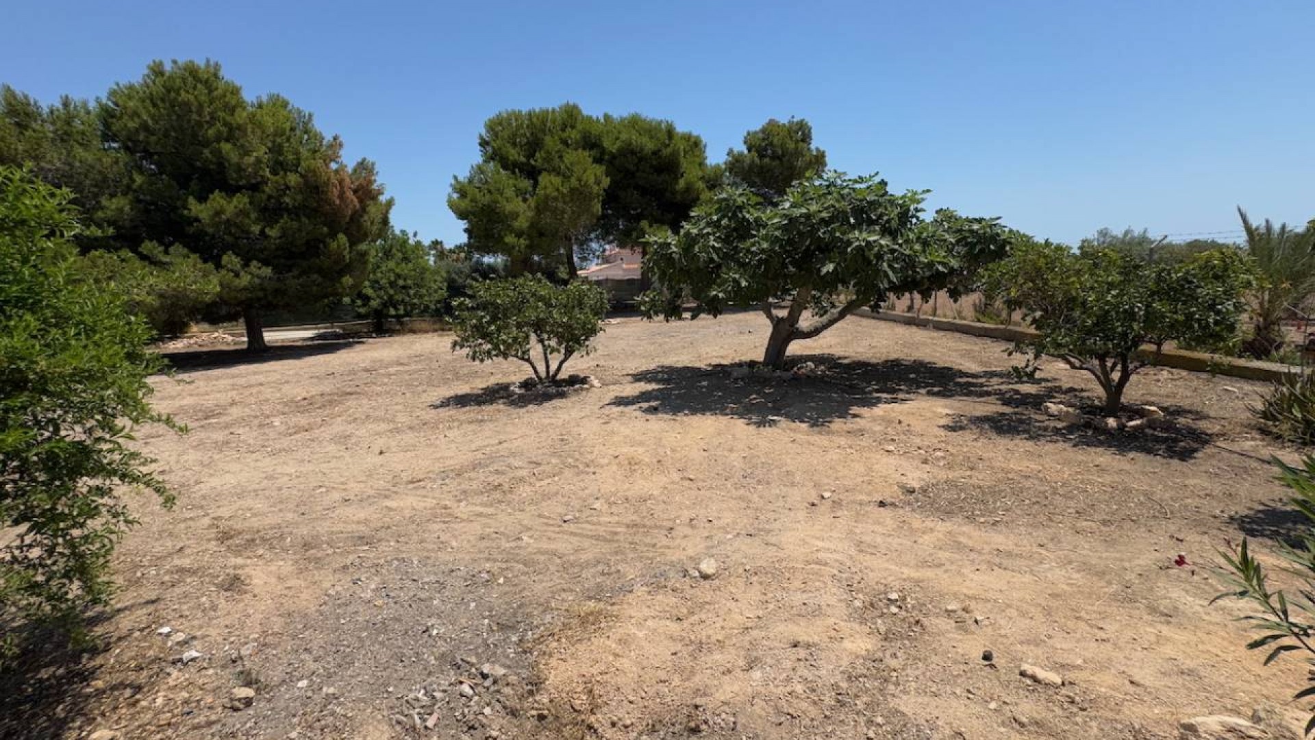 Venta - Finca Propiedad rural -
Torrellano