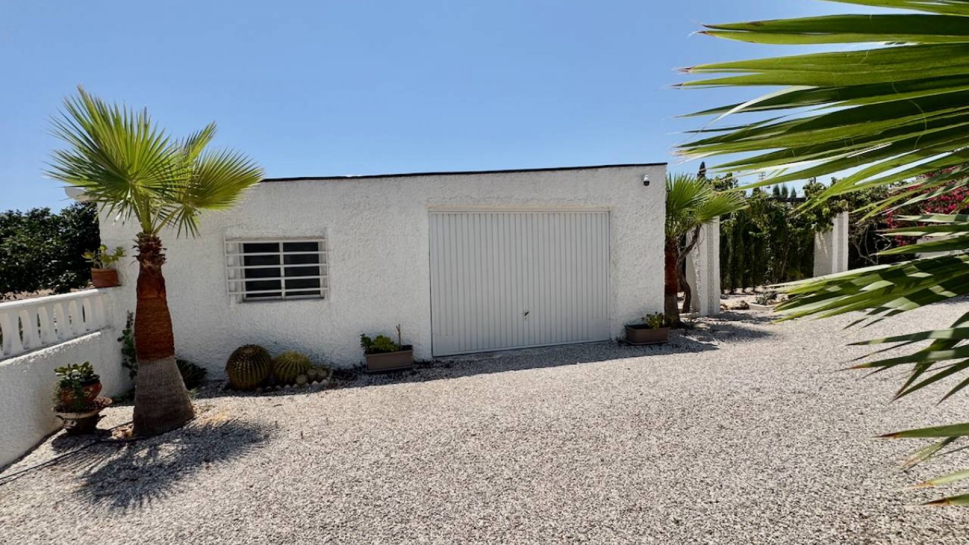 Venta - Finca Propiedad rural -
Torrellano