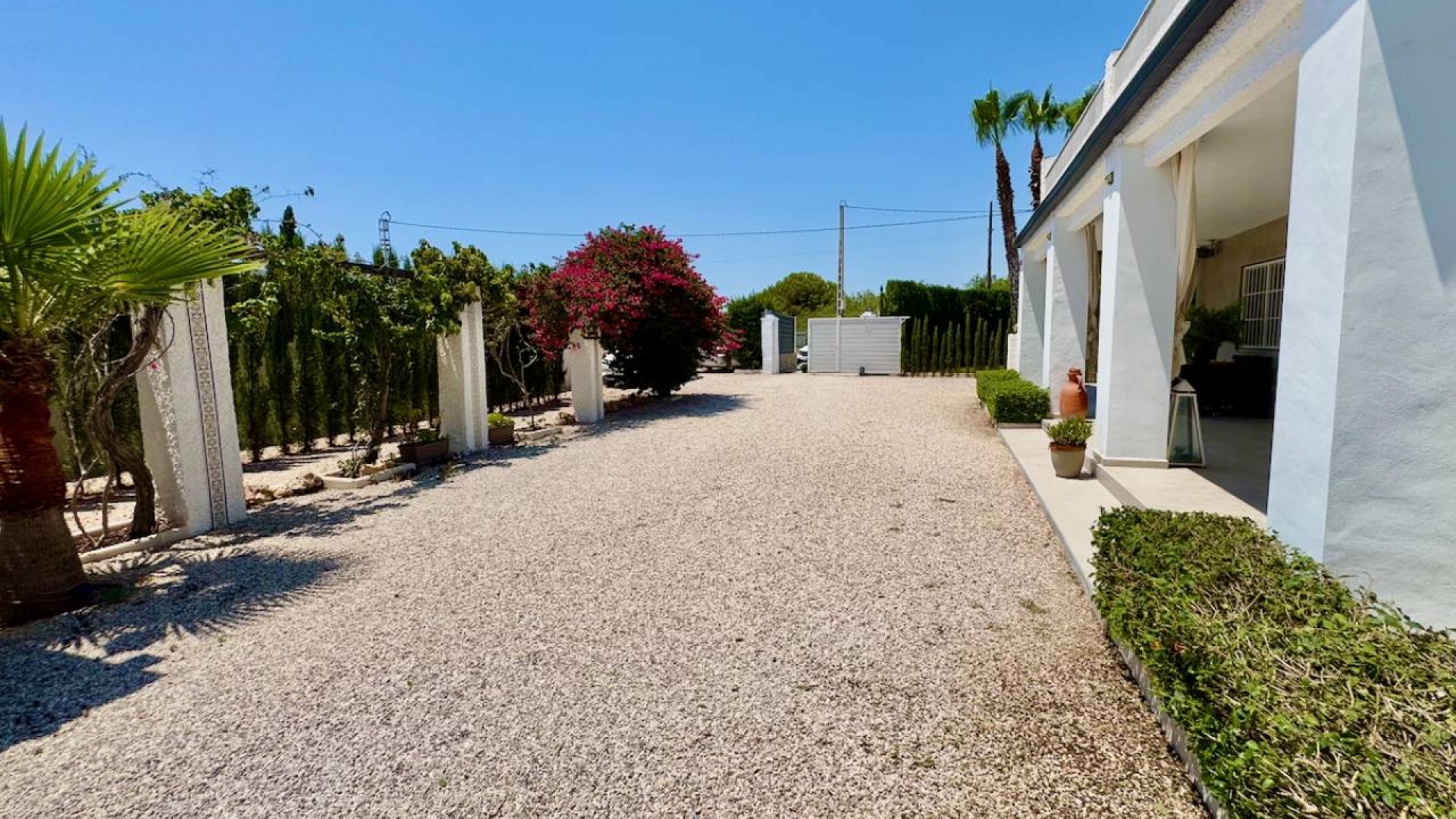 Venta - Finca Propiedad rural -
Torrellano