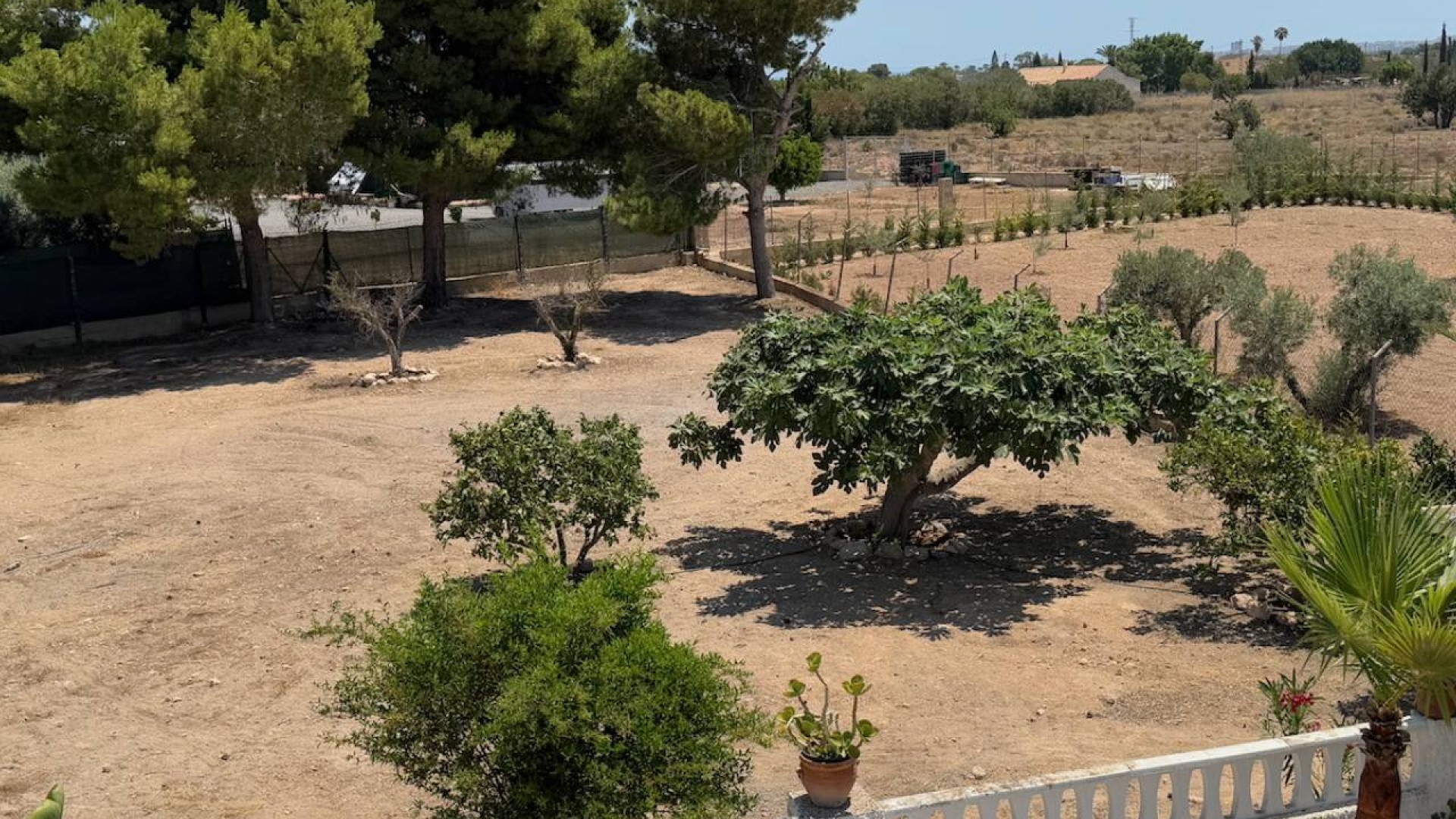 Venta - Finca Propiedad rural -
Torrellano