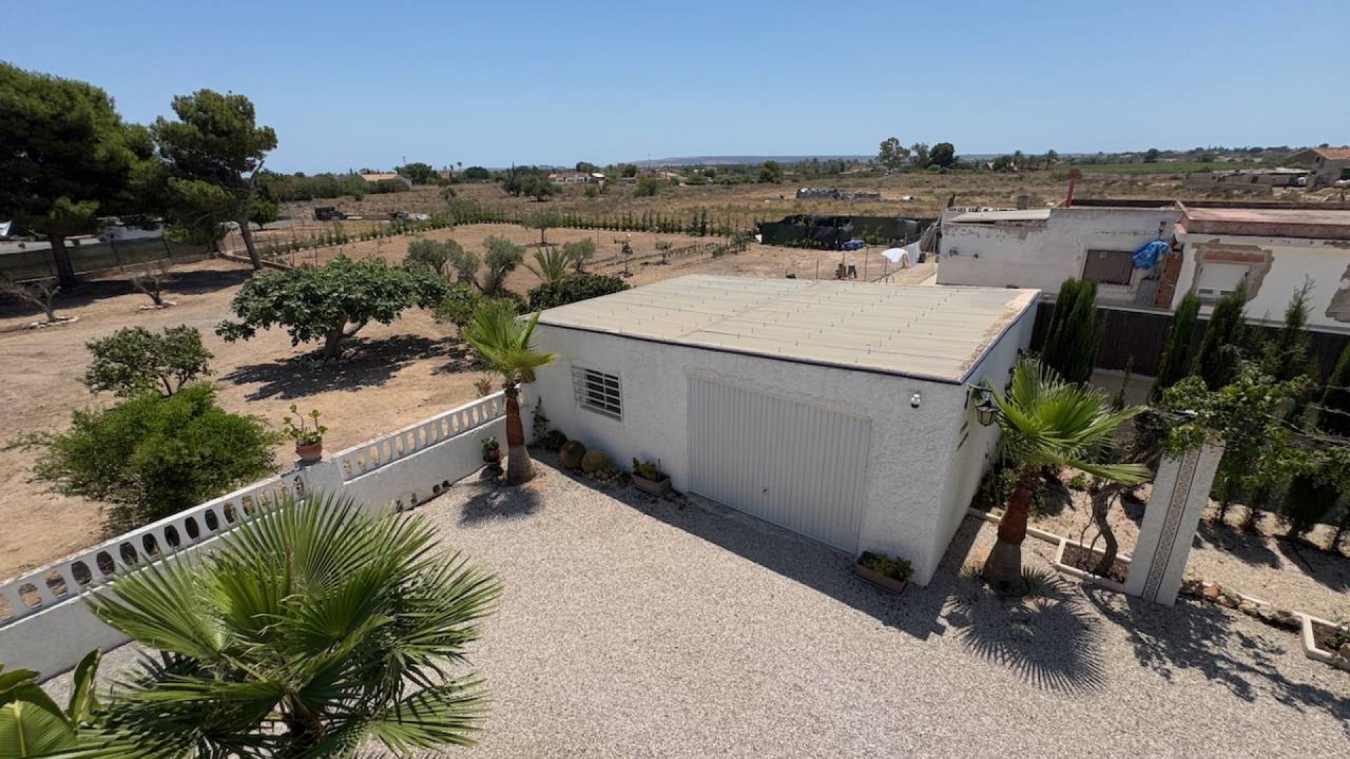 Venta - Finca Propiedad rural -
Torrellano