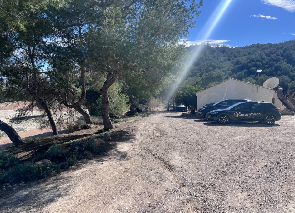 Venta - Finca Propiedad rural -
Torremendo