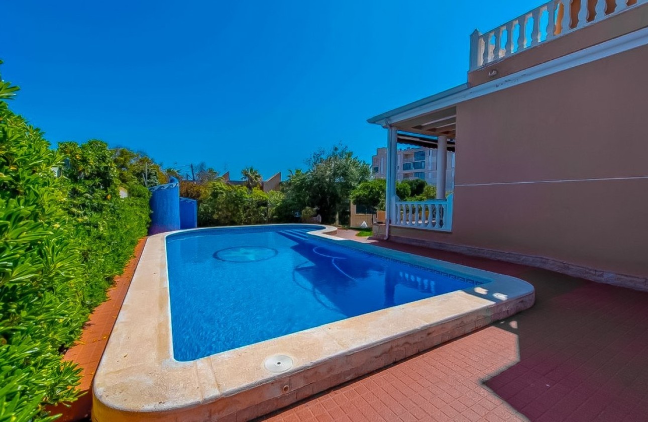 Venta - Finca Propiedad rural -
Torrevieja