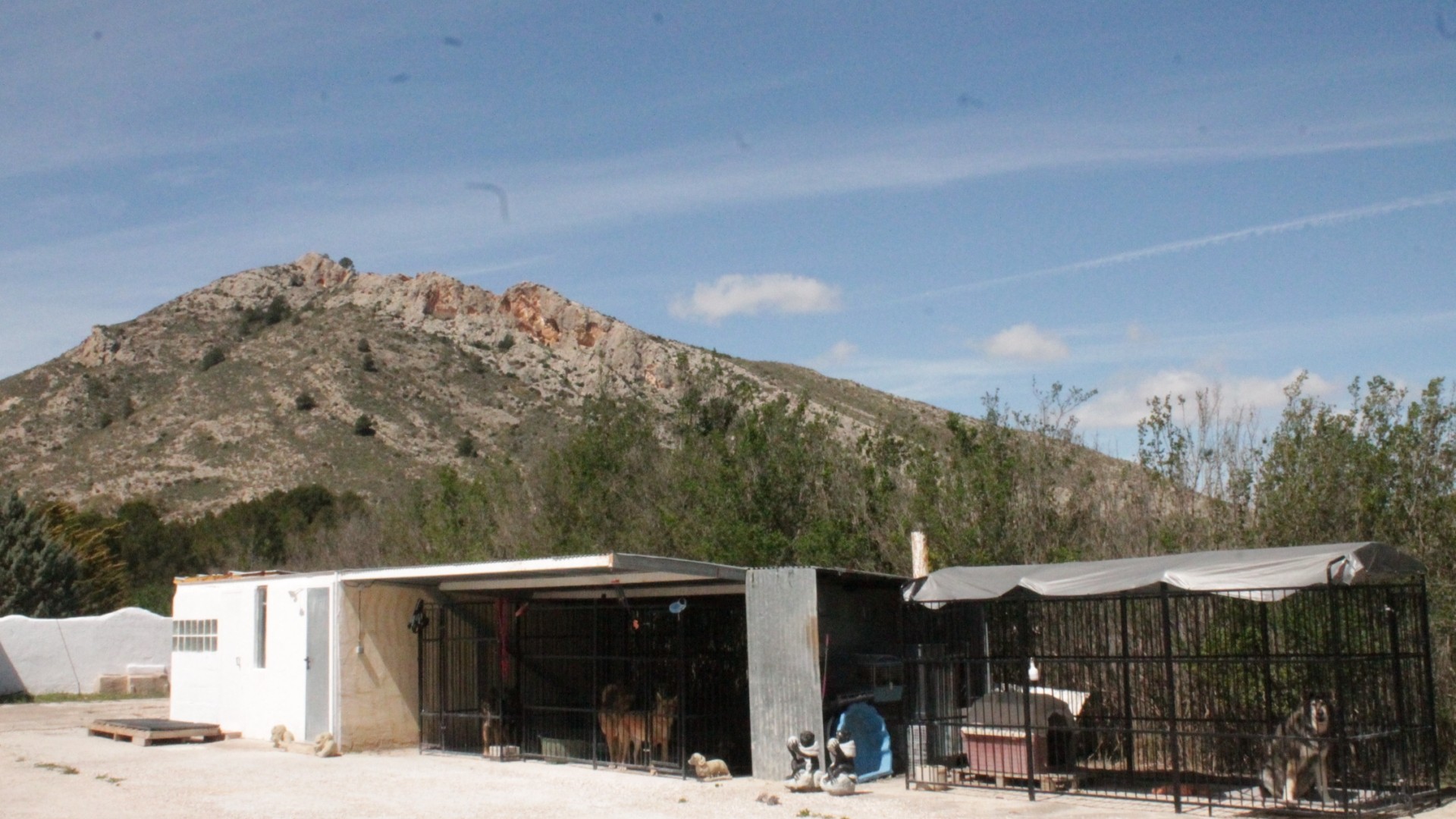 Venta - Finca Propiedad rural -
Villena - Villena Alicante