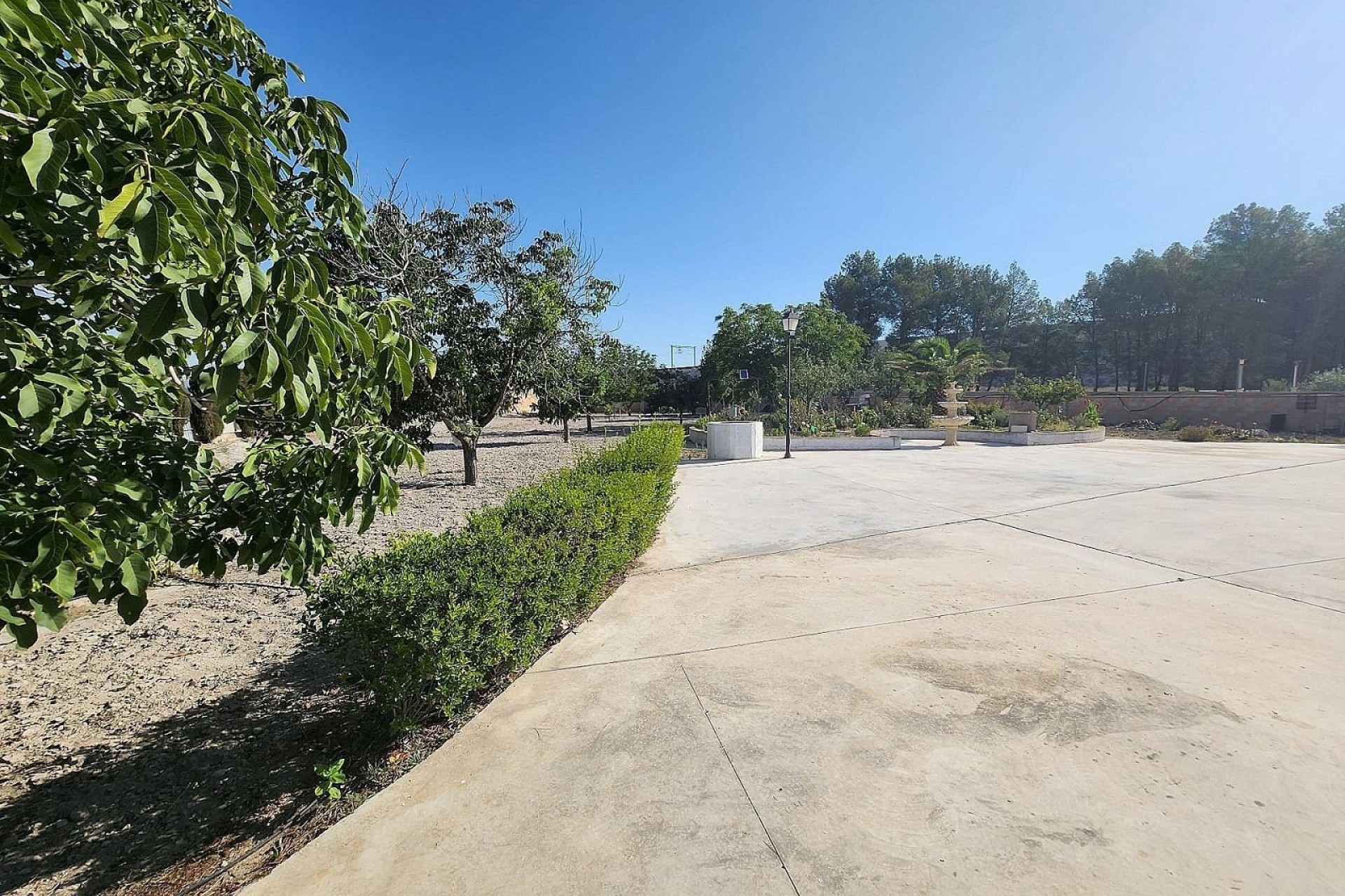 Venta - Finca Propiedad rural -
Villena