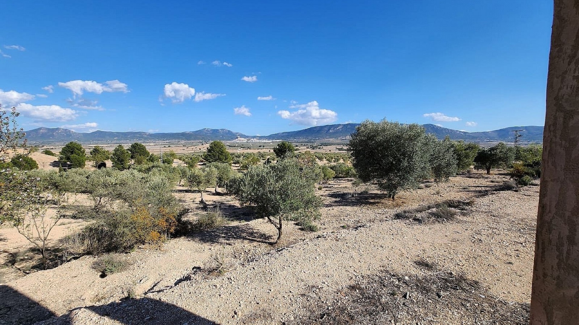 Venta - Finca Propiedad rural -
Villena