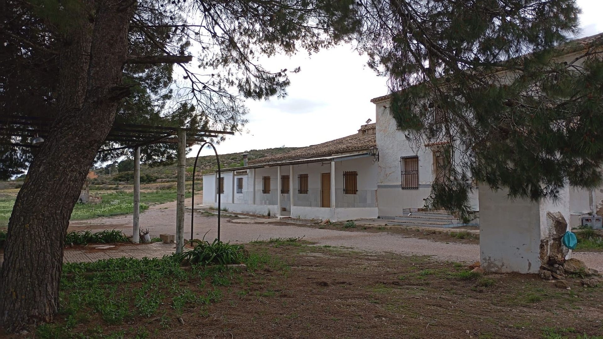 Venta - Finca Propiedad rural -
Yecla