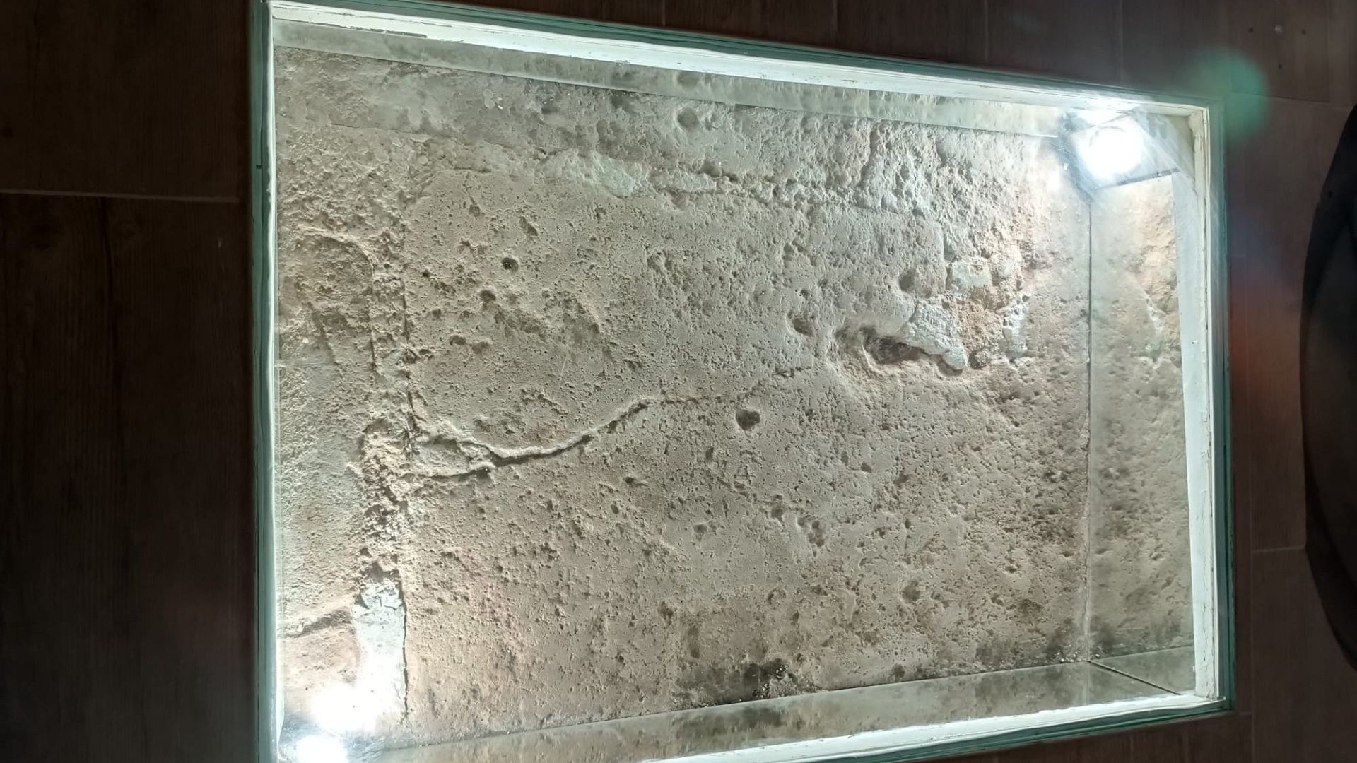 Venta - Finca Propiedad rural -
Yecla