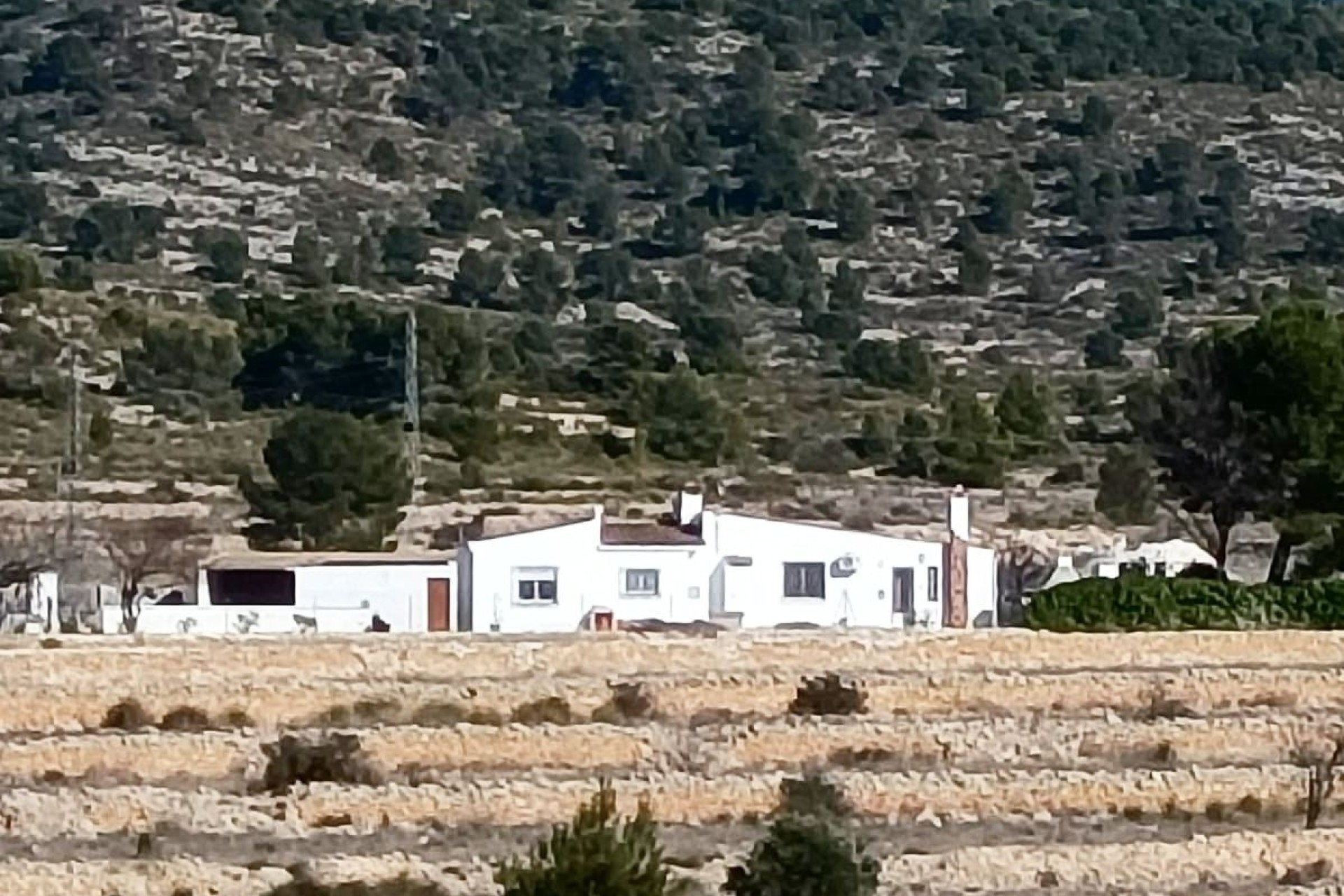 Venta -  -
Monóvar
