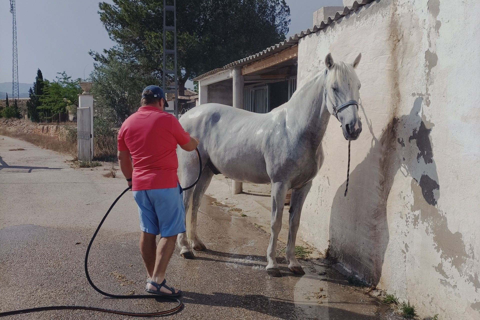 Venta -  -
Monóvar