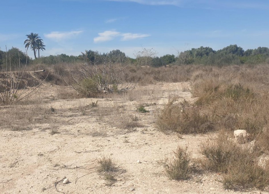 Venta - Parcela Terreno -
Benferri - HUERTA PUEBLO