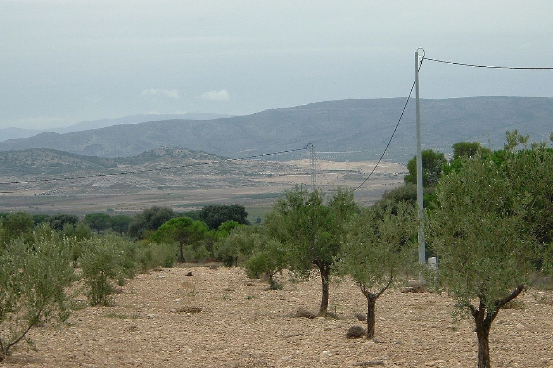 Venta - Parcela Terreno -
Biar