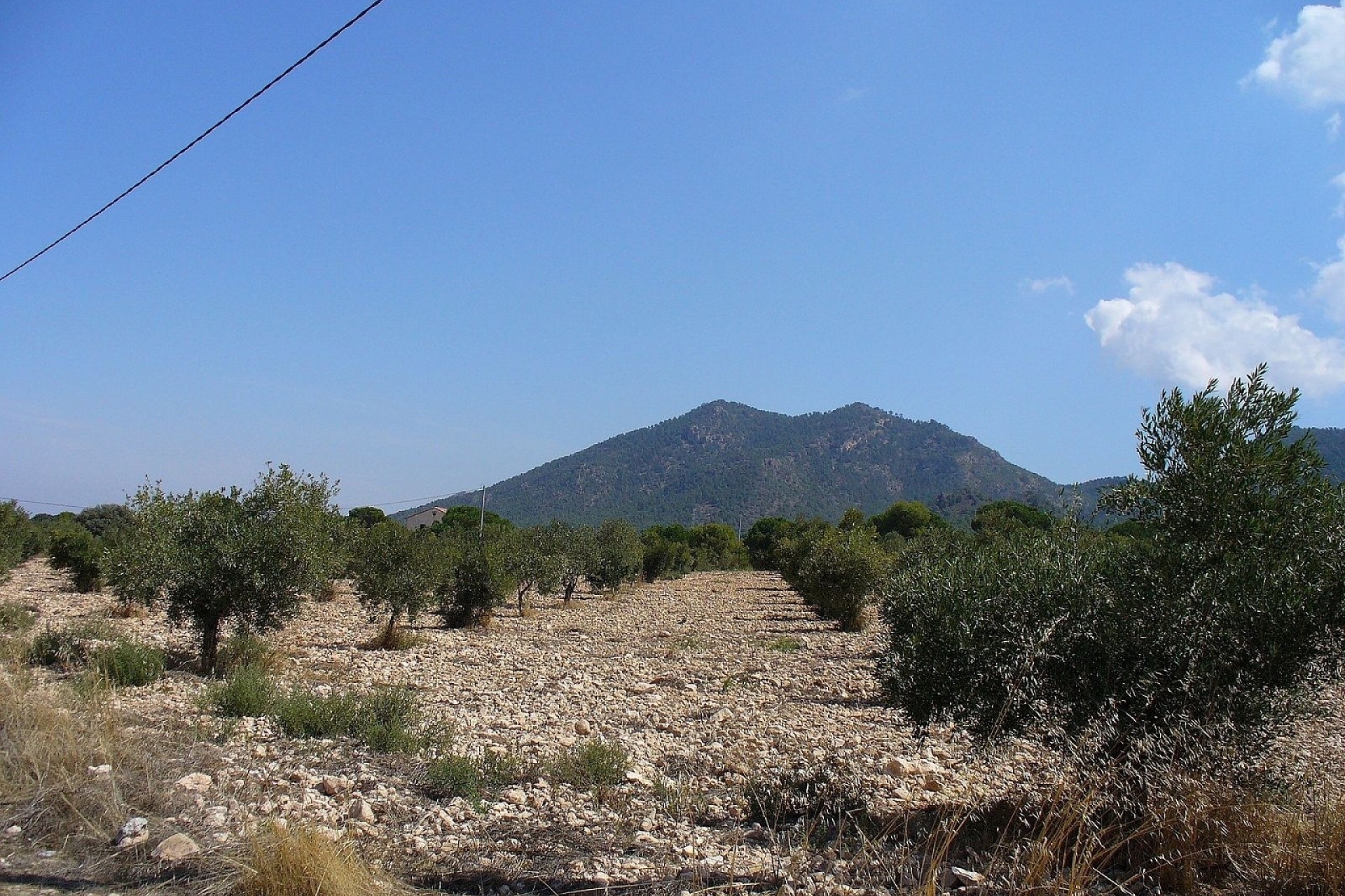 Venta - Parcela Terreno -
Biar