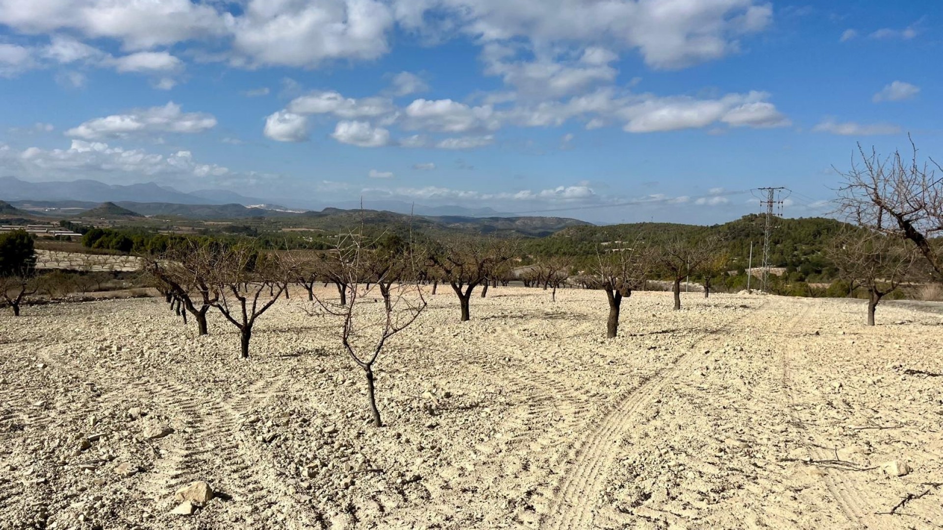 Venta - Parcela Terreno -
Bullas - Costa Calida