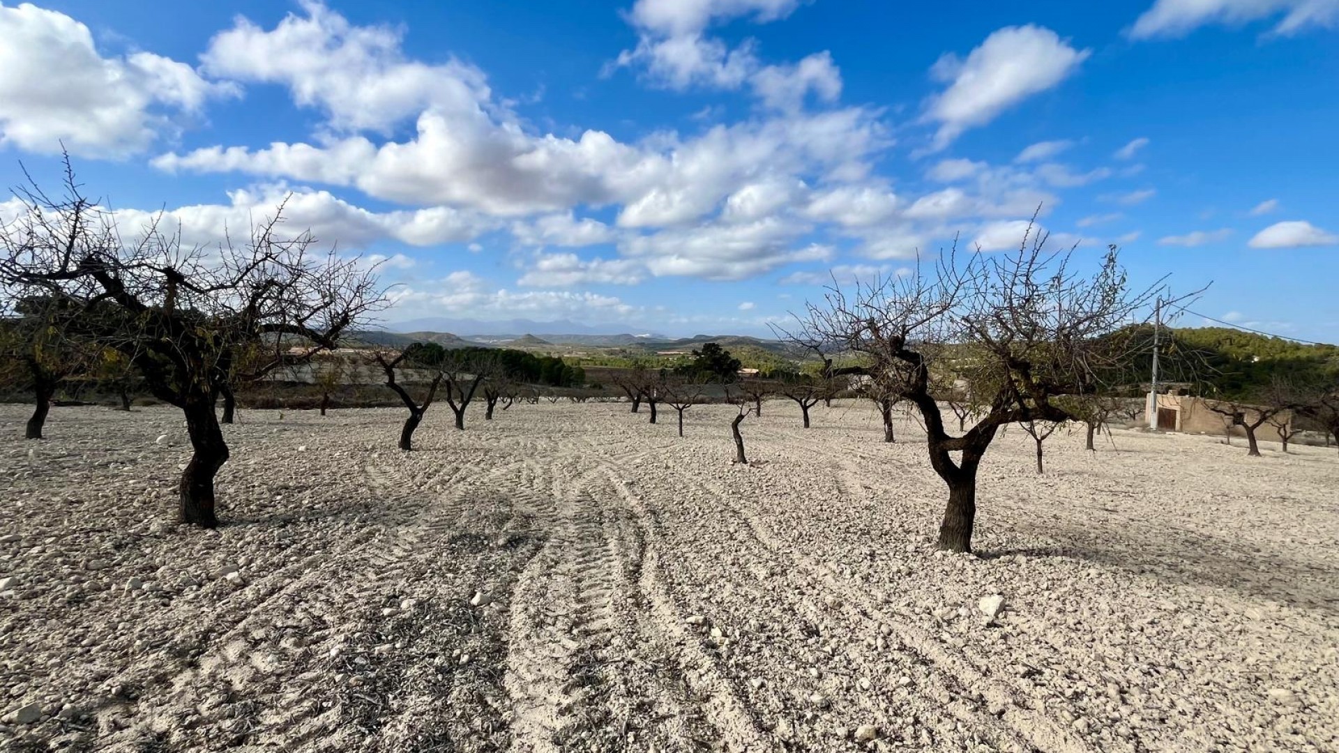 Venta - Parcela Terreno -
Bullas - Costa Calida