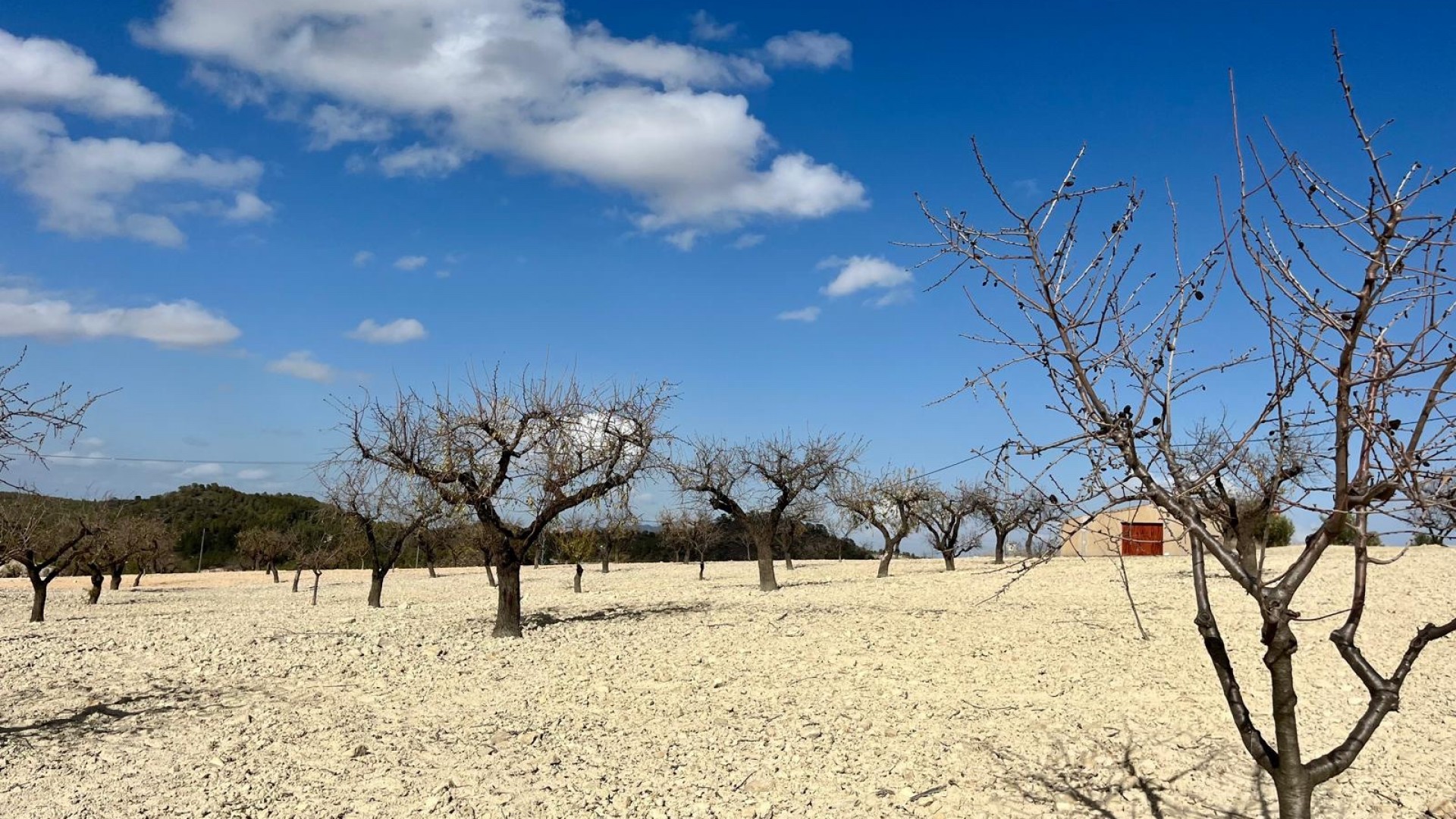 Venta - Parcela Terreno -
Bullas - Costa Calida