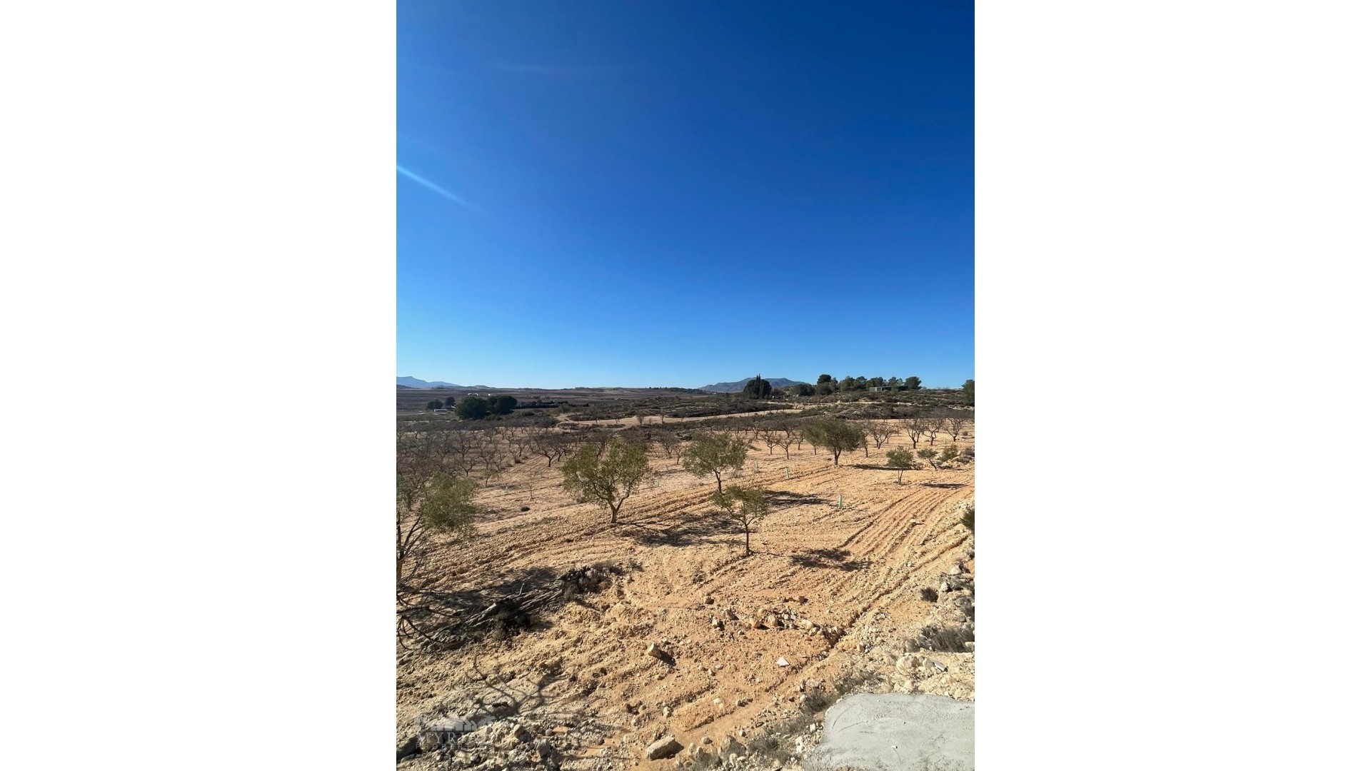 Venta - Parcela Terreno -
Culebr&oacute;n - Culebr&oacute;n Alicante