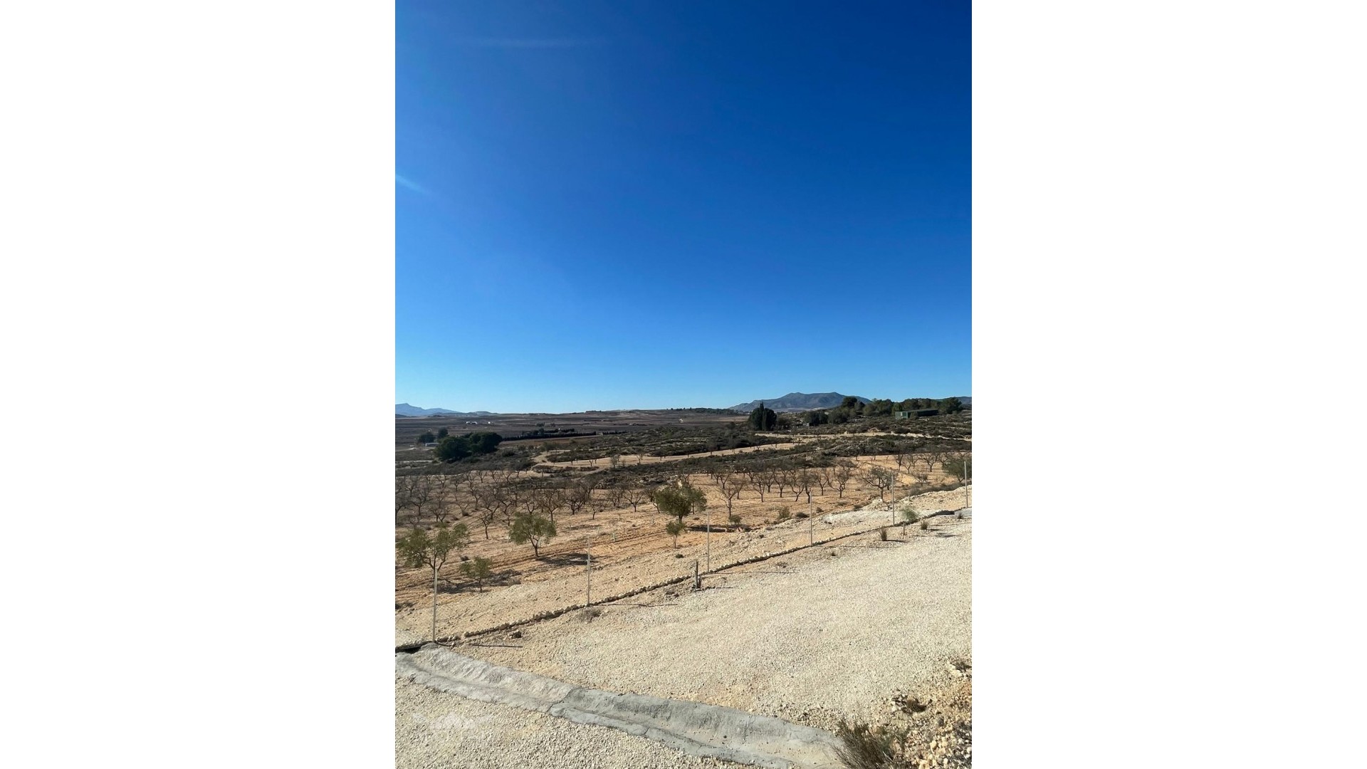 Venta - Parcela Terreno -
Culebr&oacute;n - Culebr&oacute;n Alicante