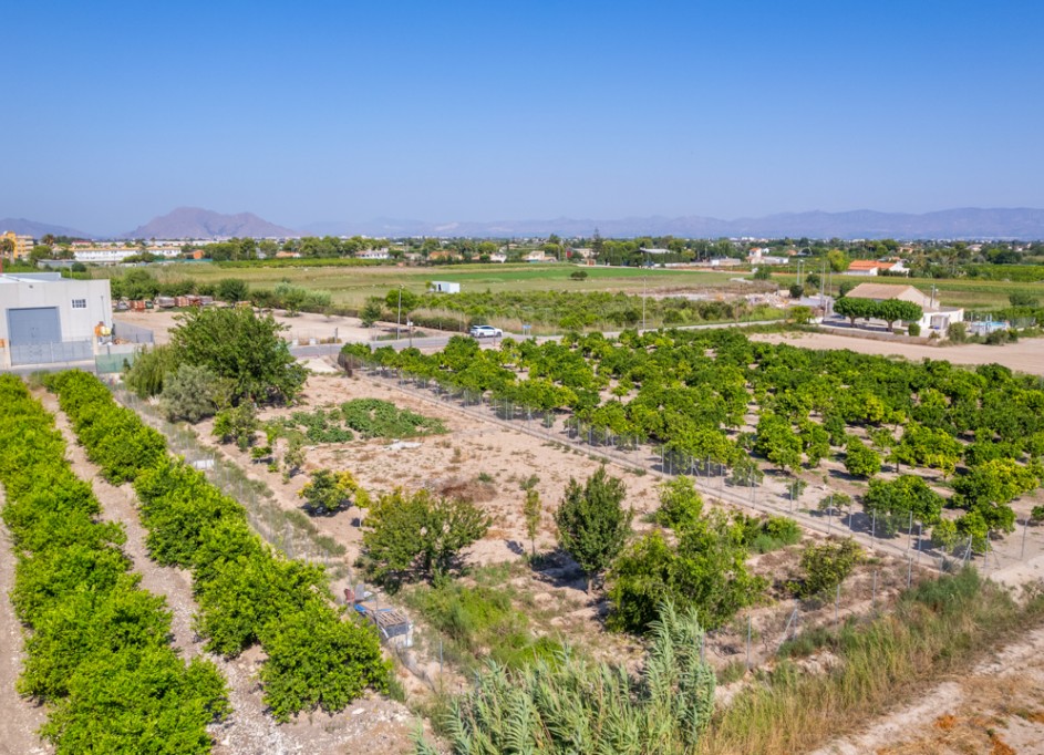 Venta - Parcela Terreno -
Formentera del Segura - Formentera de Segura