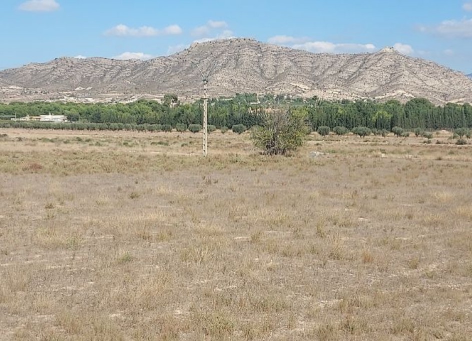 Venta - Parcela Terreno -
Hondón de las Nieves
