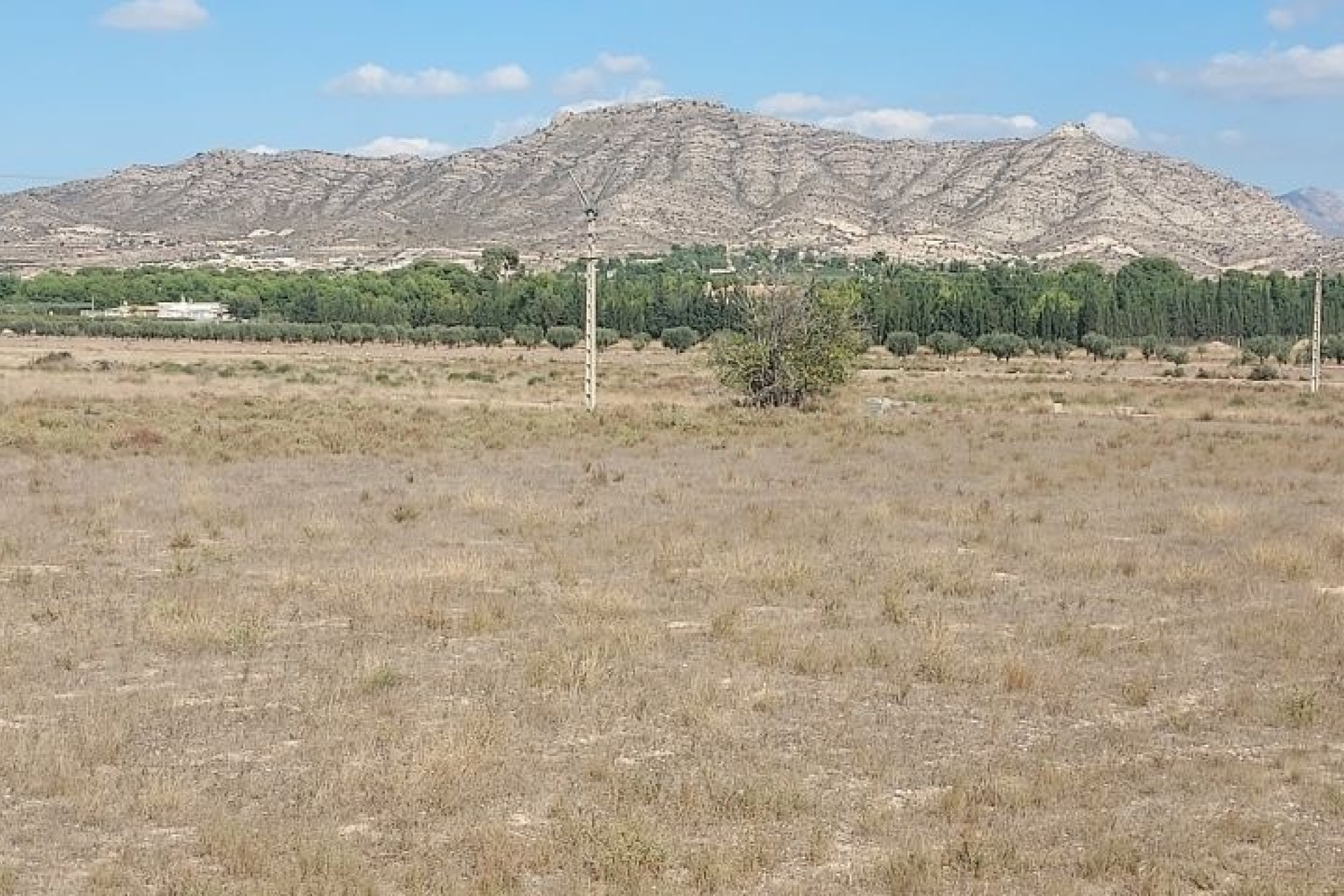 Venta - Parcela / Terreno -
Hondón de las Nieves