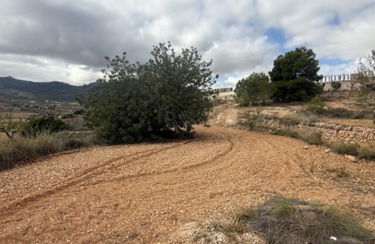 Venta - Parcela / Terreno -
La Romana