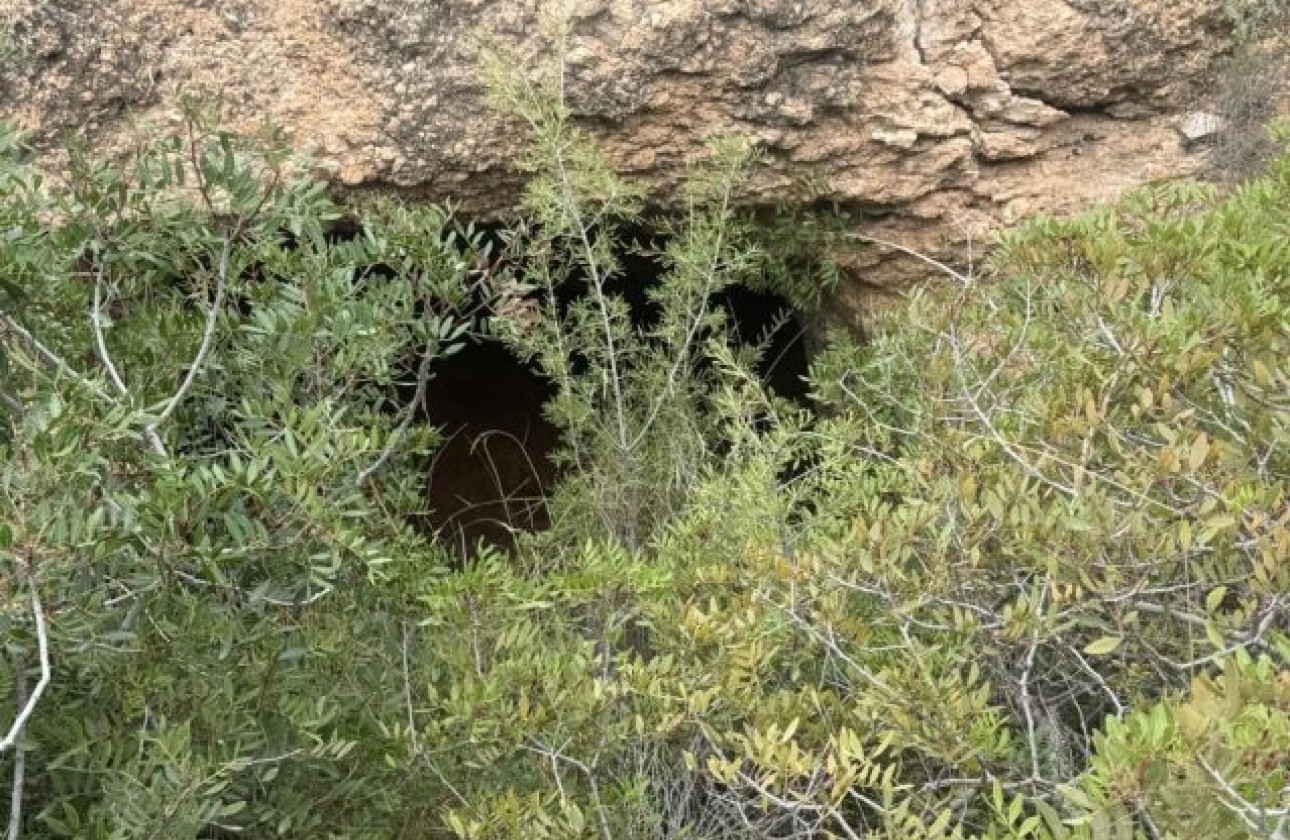 Venta - Parcela / Terreno -
La Romana