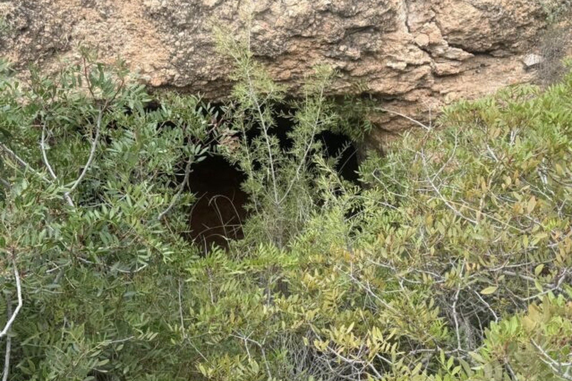 Venta - Parcela / Terreno -
La Romana