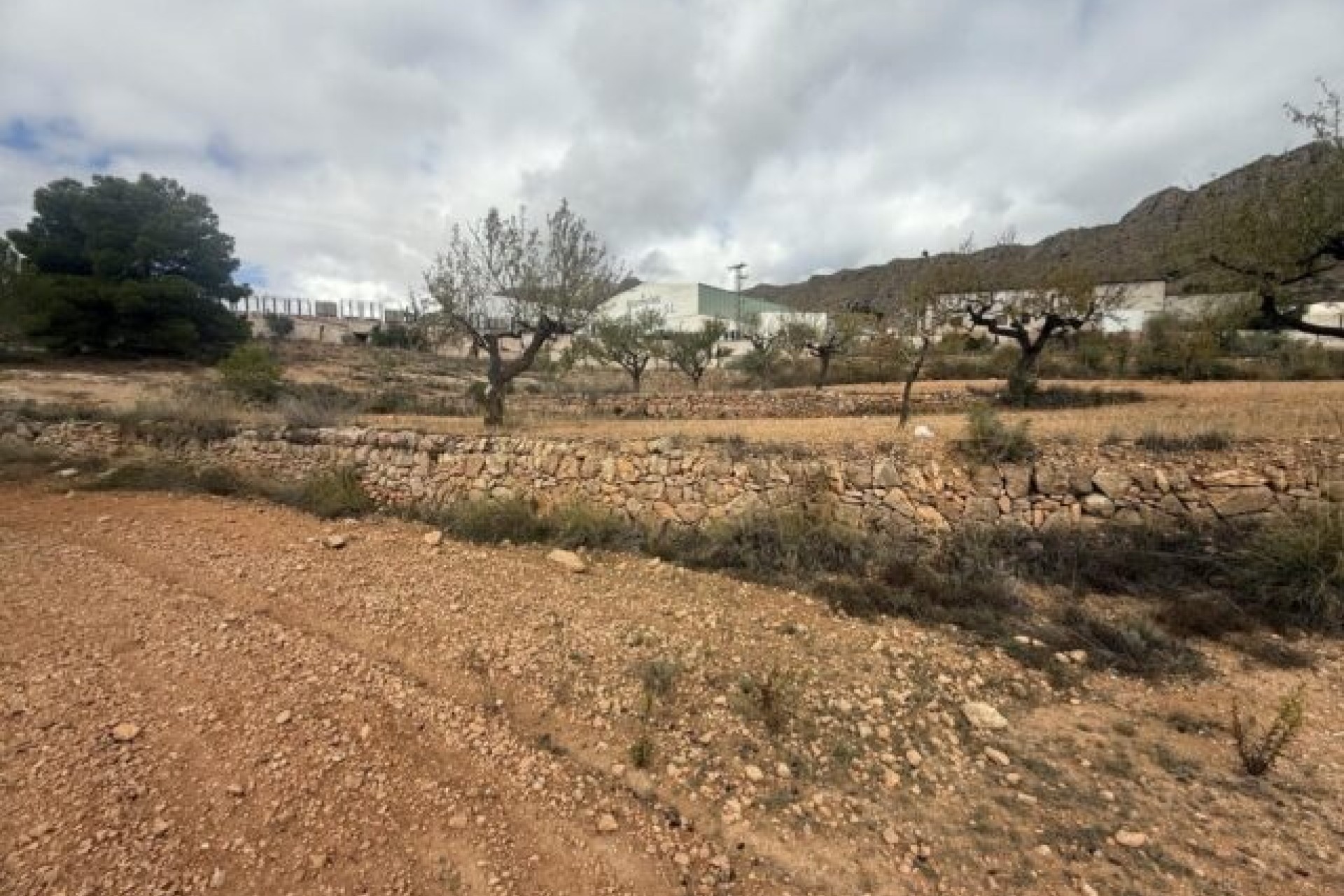 Venta - Parcela / Terreno -
La Romana