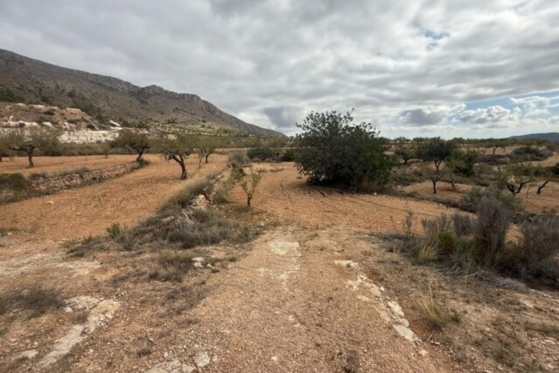 Venta - Parcela / Terreno -
La Romana