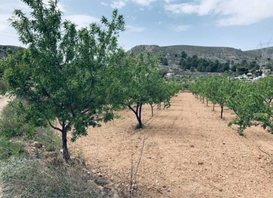 Venta - Parcela Terreno -
La Romana