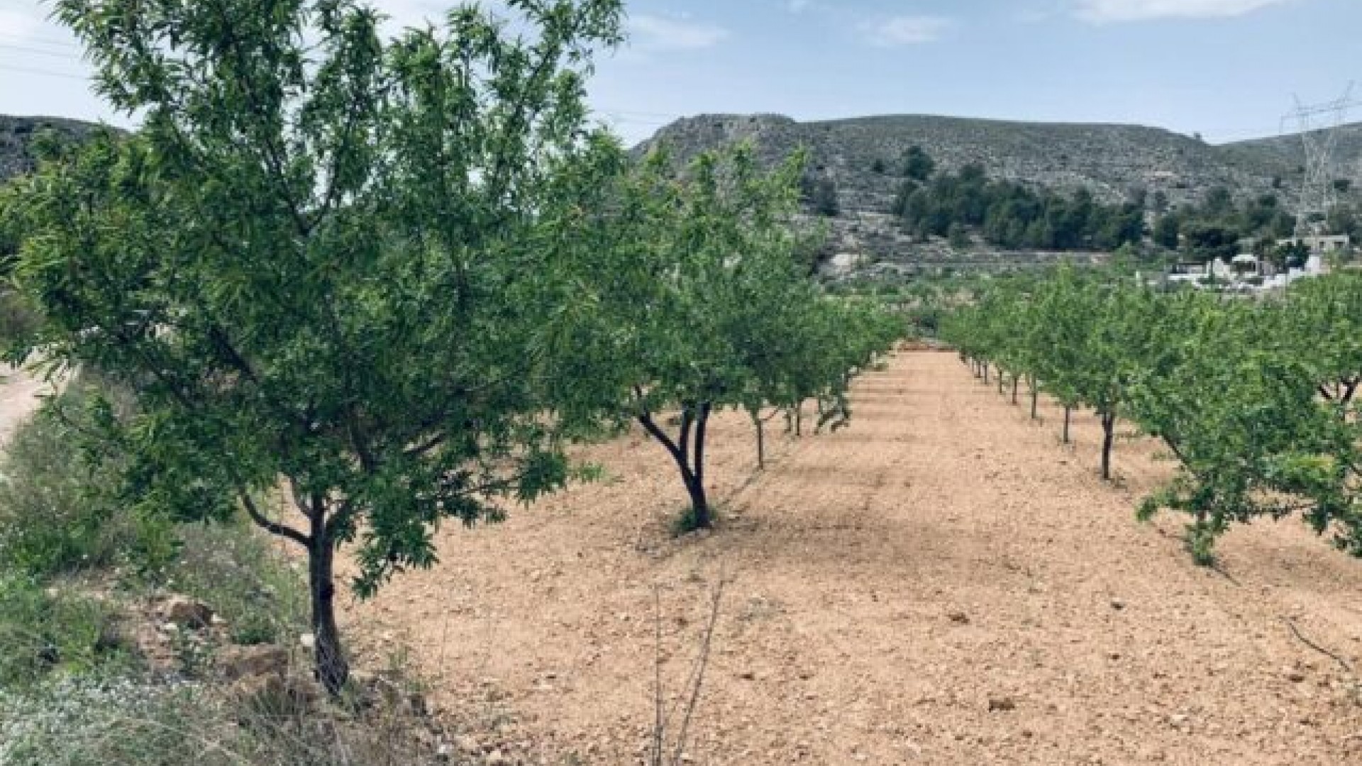 Venta - Parcela Terreno -
La Romana