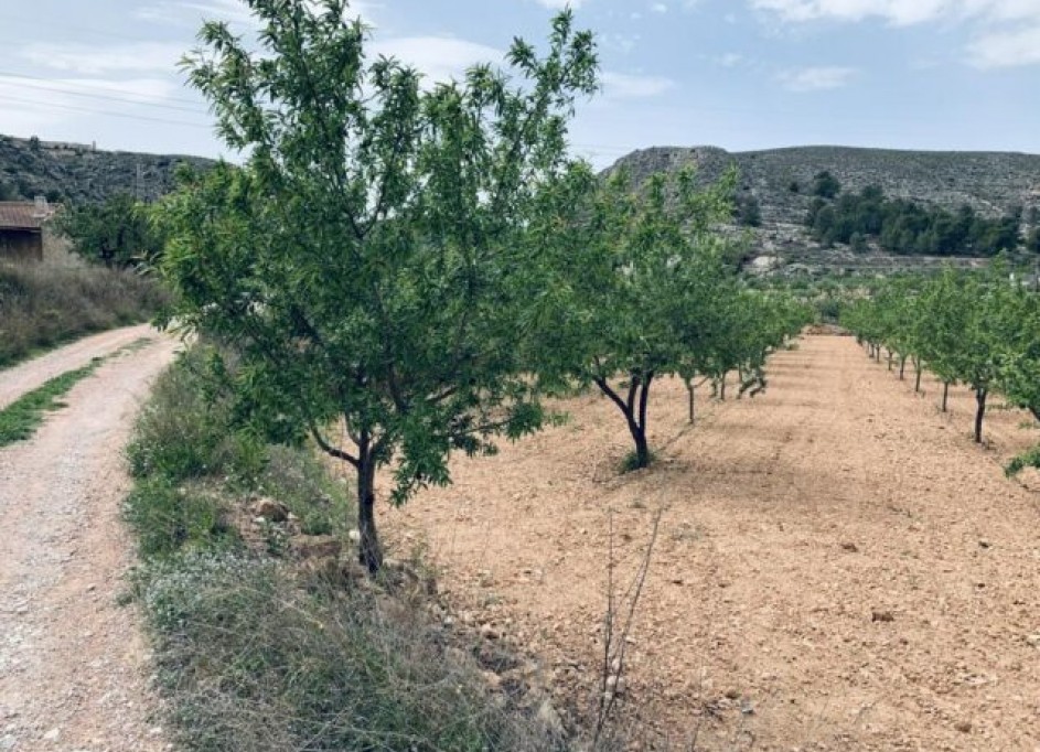 Venta - Parcela Terreno -
La Romana