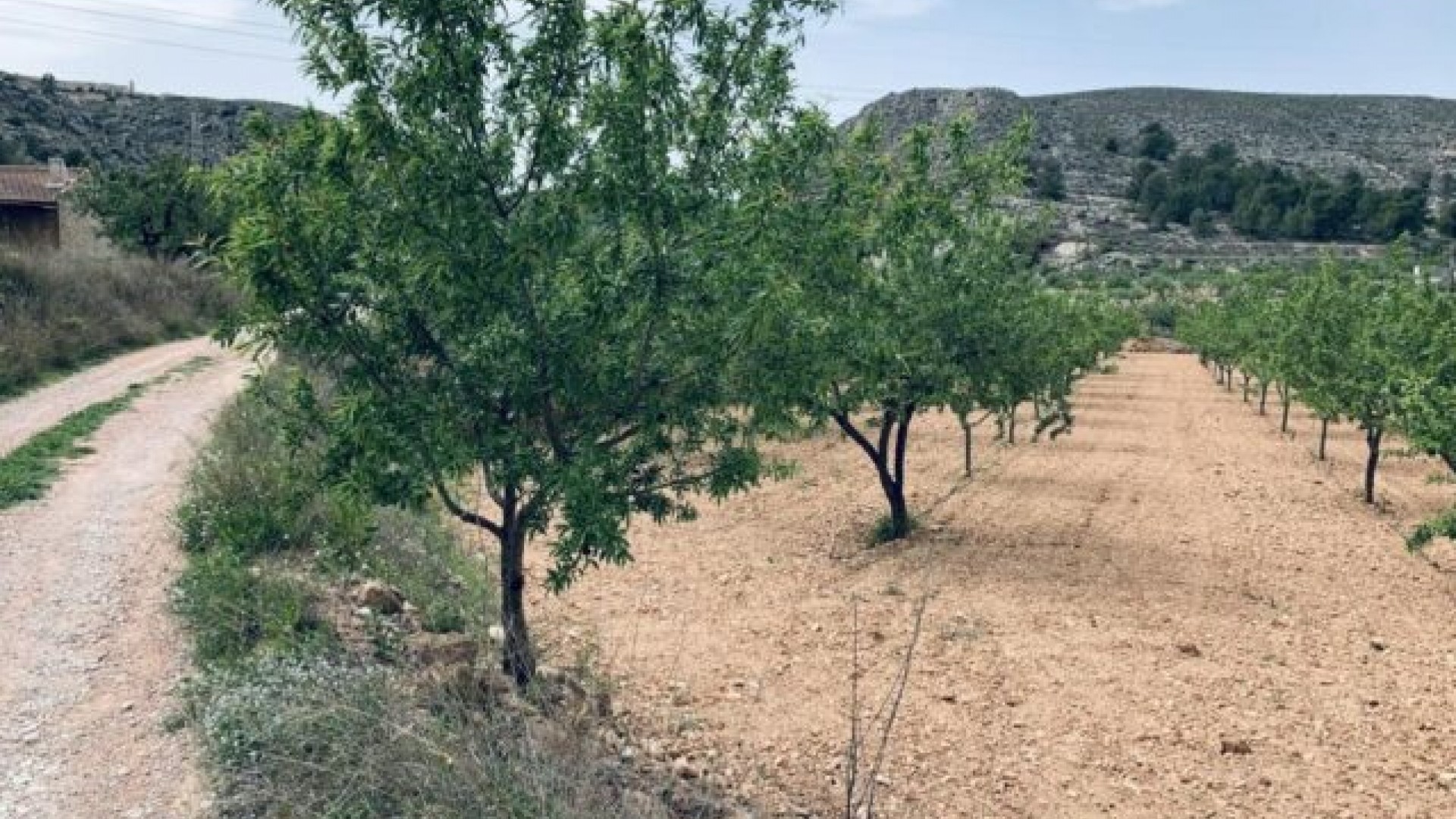 Venta - Parcela Terreno -
La Romana