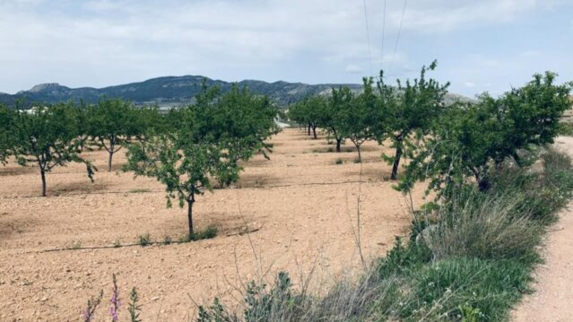 Venta - Parcela Terreno -
La Romana