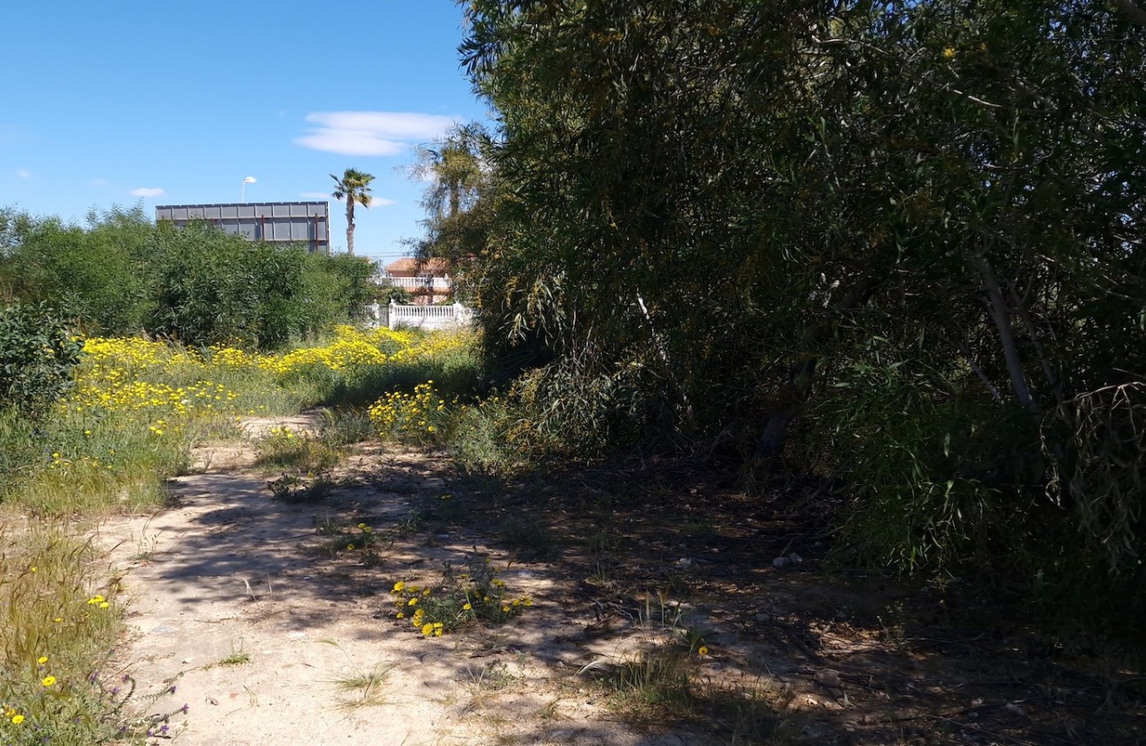 Venta - Parcela / Terreno -
Los Balcones - Los Altos del Edén - Los Balcones