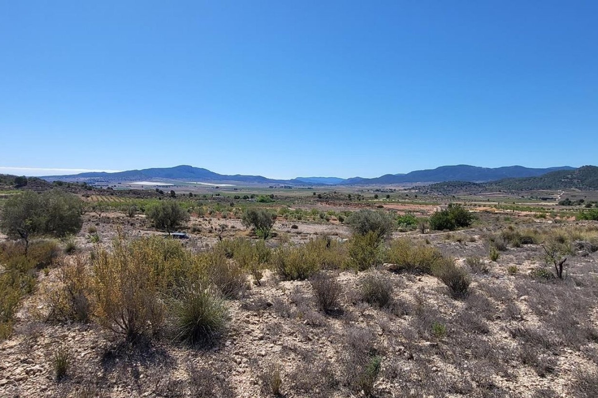 Venta - Parcela Terreno -
Monóvar