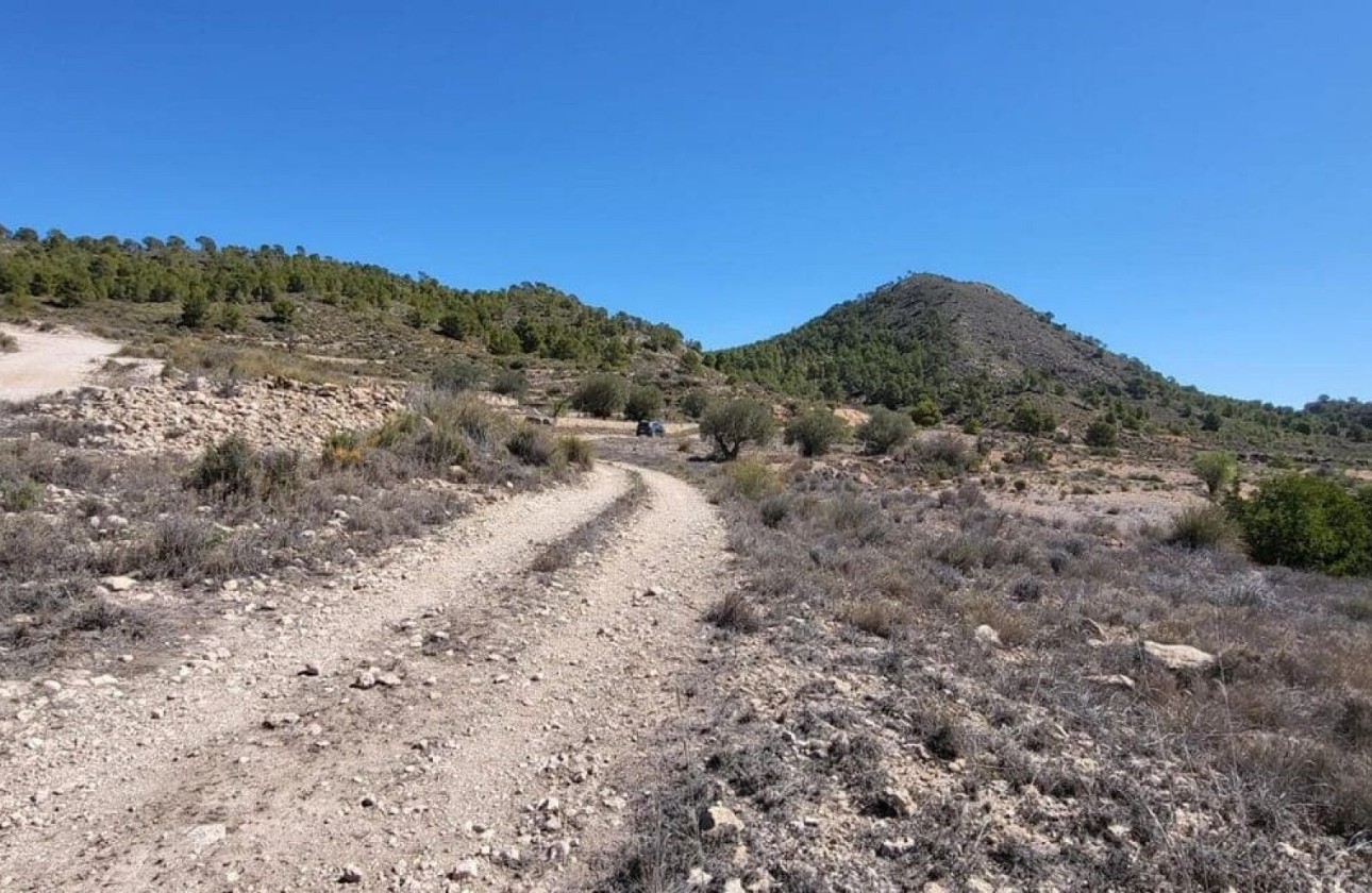 Venta - Parcela Terreno -
Monóvar