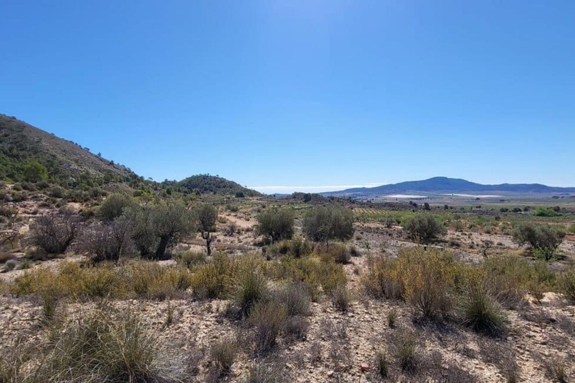 Venta - Parcela Terreno -
Monóvar