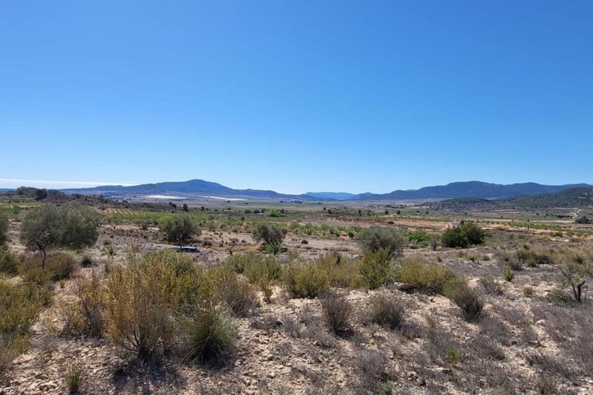 Venta - Parcela Terreno -
Monóvar