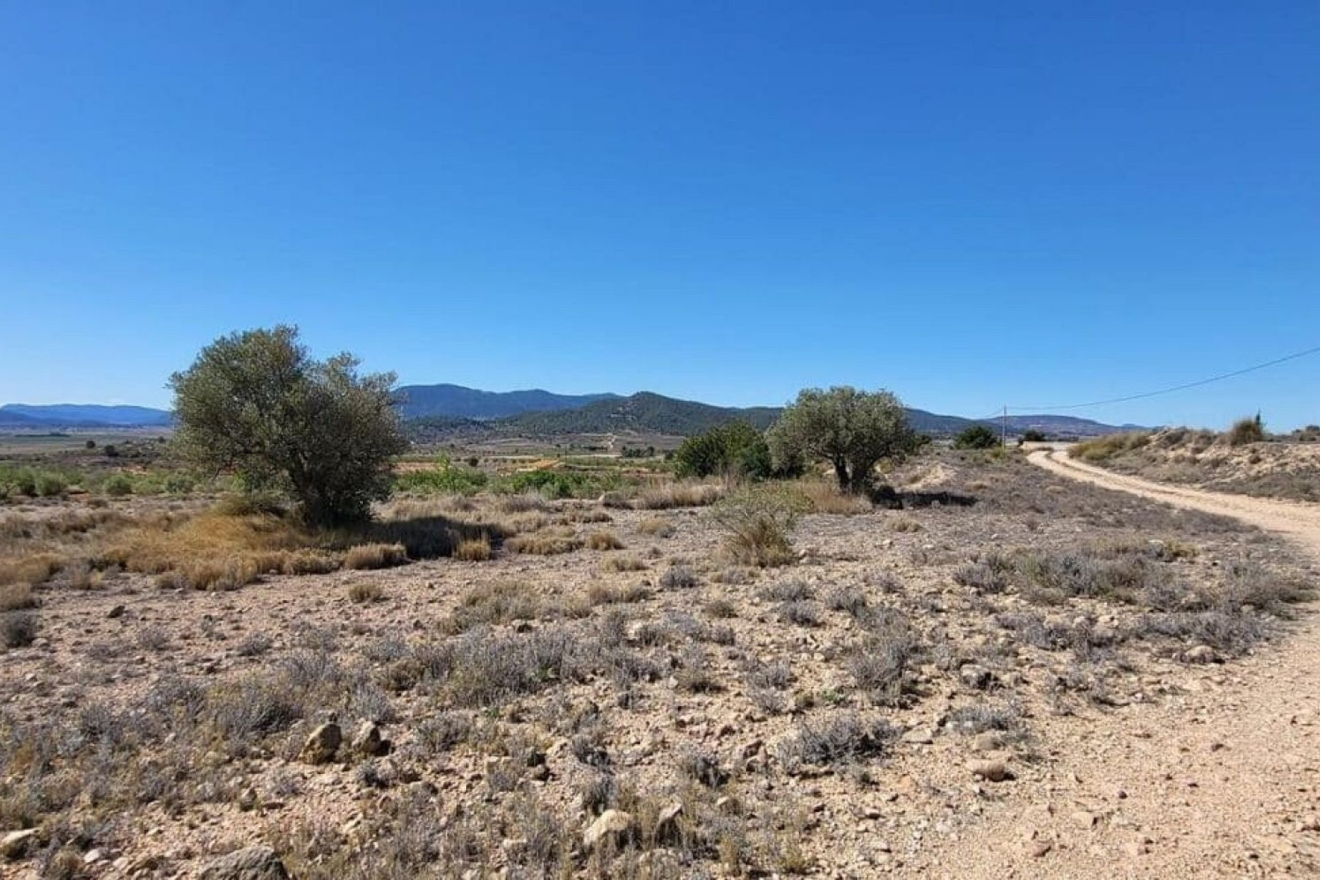 Venta - Parcela Terreno -
Monóvar