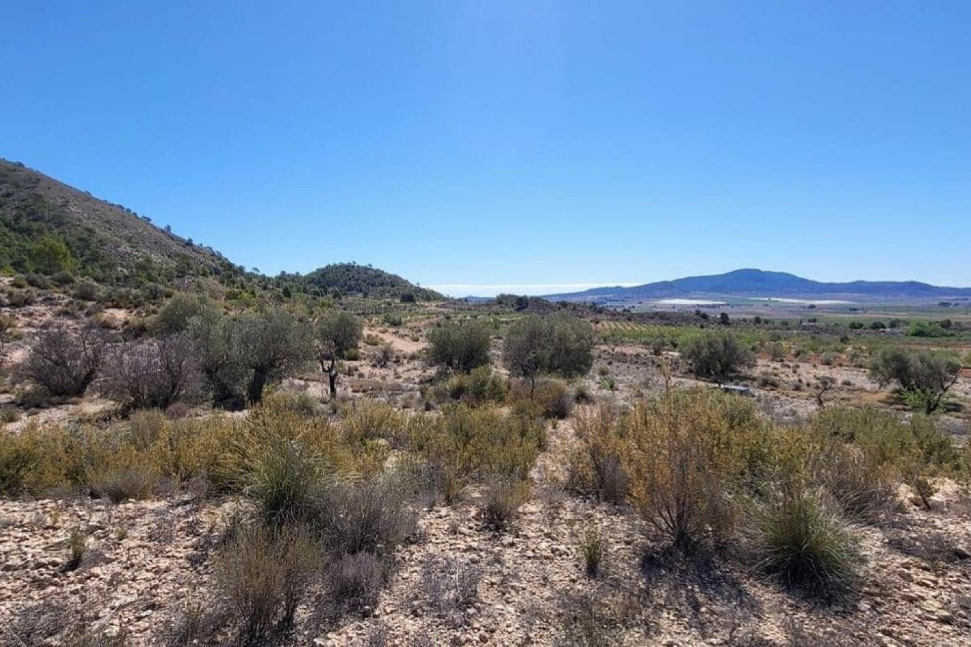 Venta - Parcela Terreno -
Monóvar