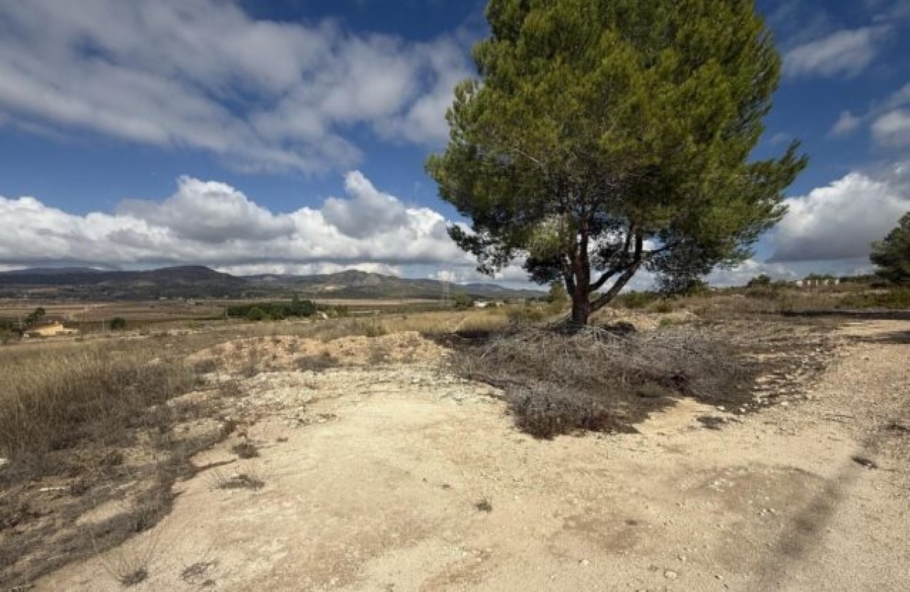 Venta - Parcela / Terreno -
Monóvar