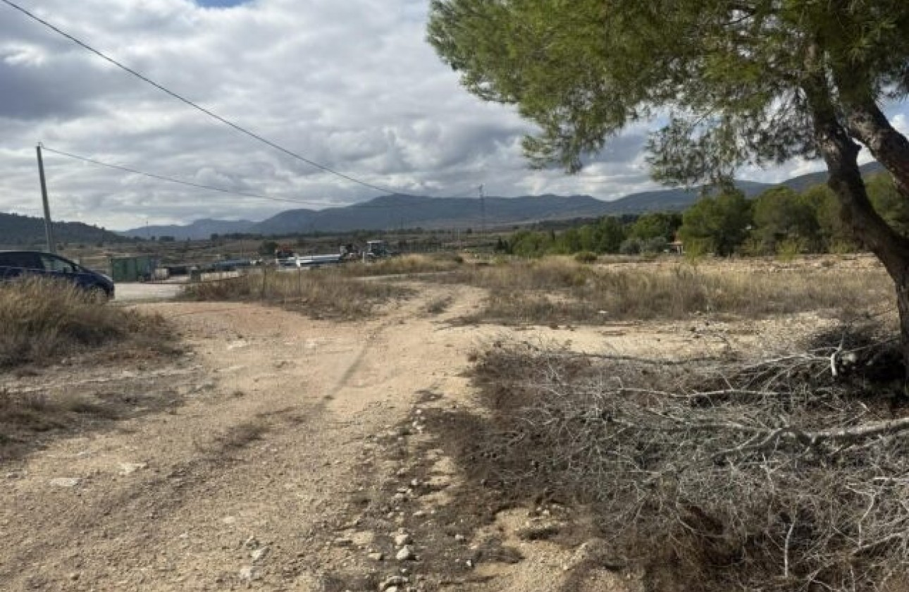 Venta - Parcela / Terreno -
Monóvar