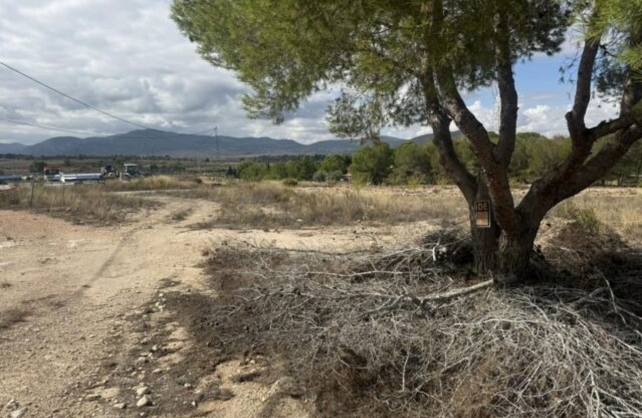 Venta - Parcela / Terreno -
Monóvar