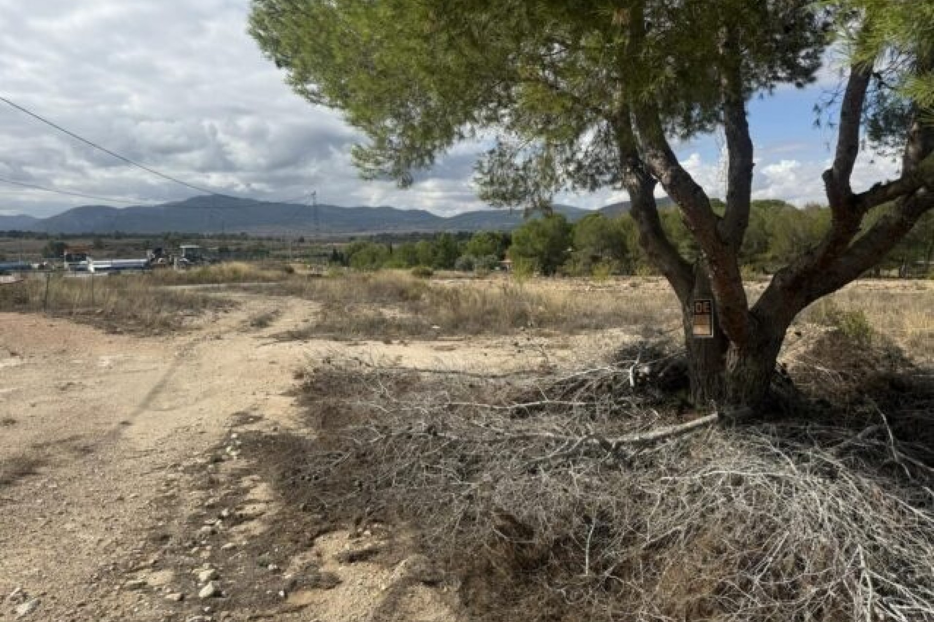 Venta - Parcela / Terreno -
Monóvar