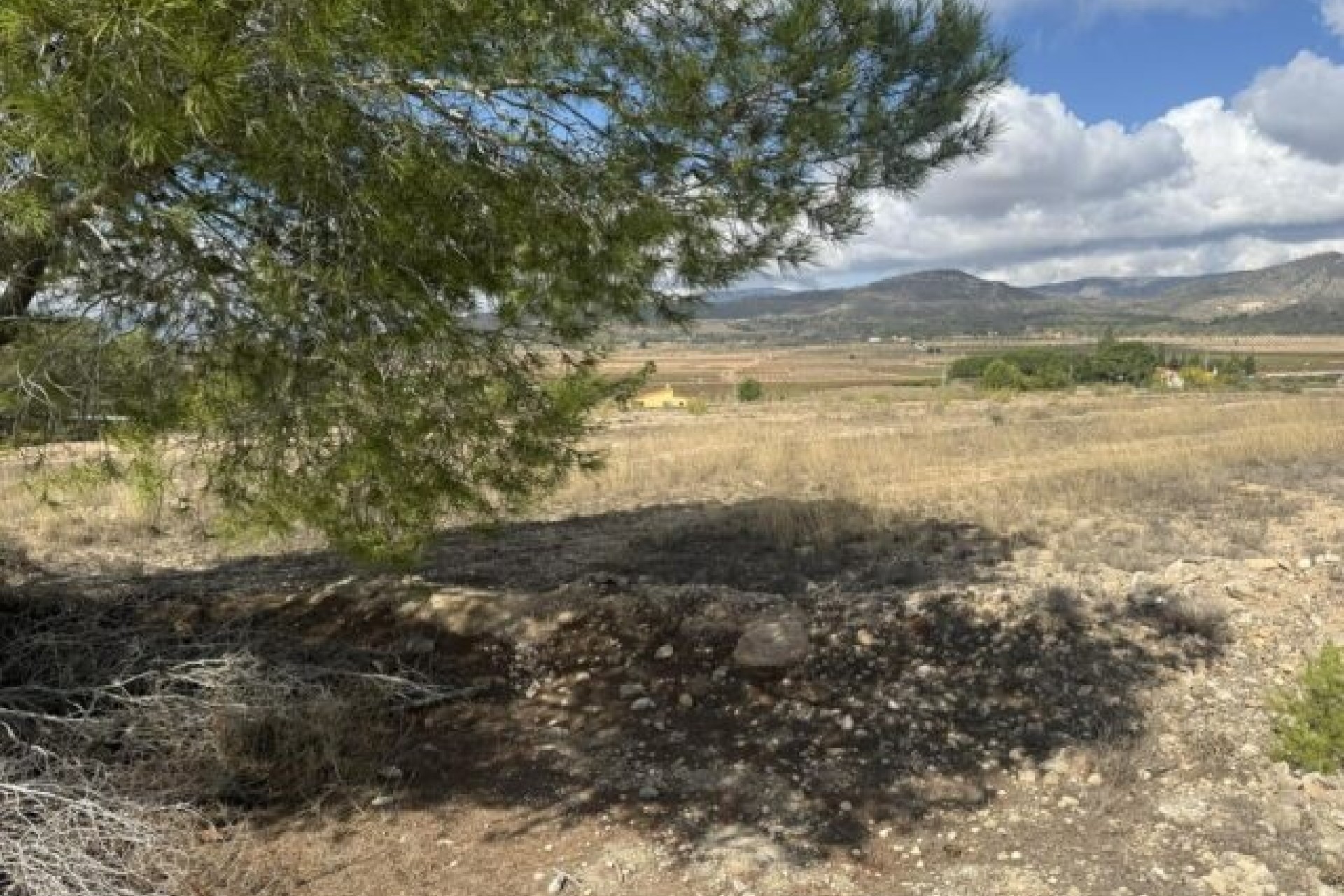 Venta - Parcela / Terreno -
Monóvar