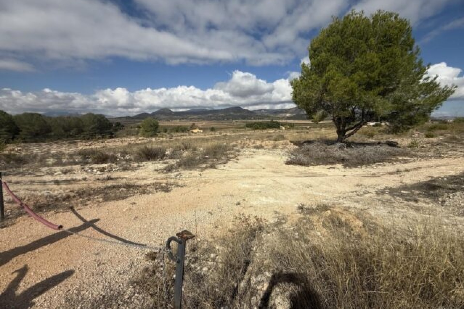 Venta - Parcela / Terreno -
Monóvar