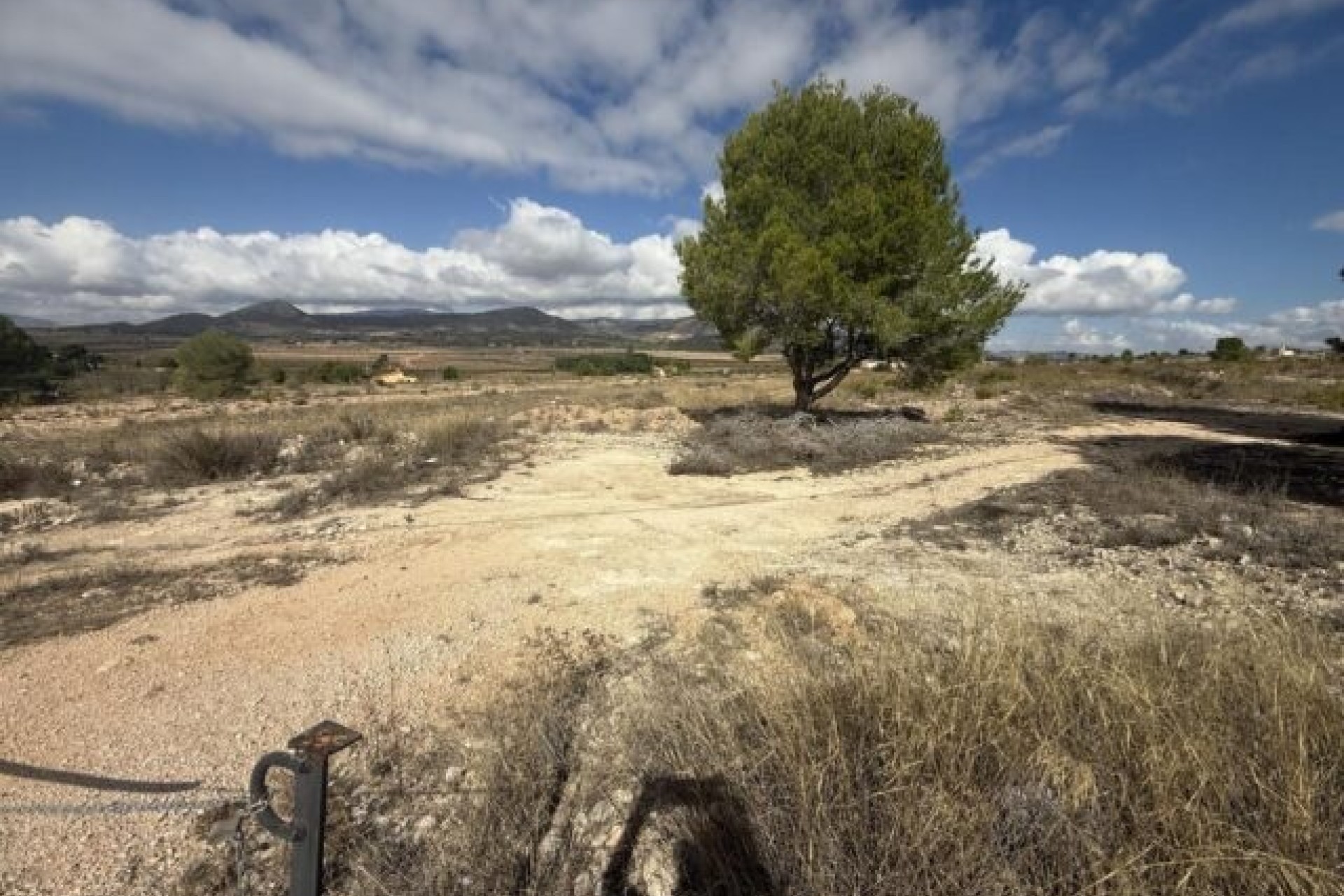 Venta - Parcela / Terreno -
Monóvar