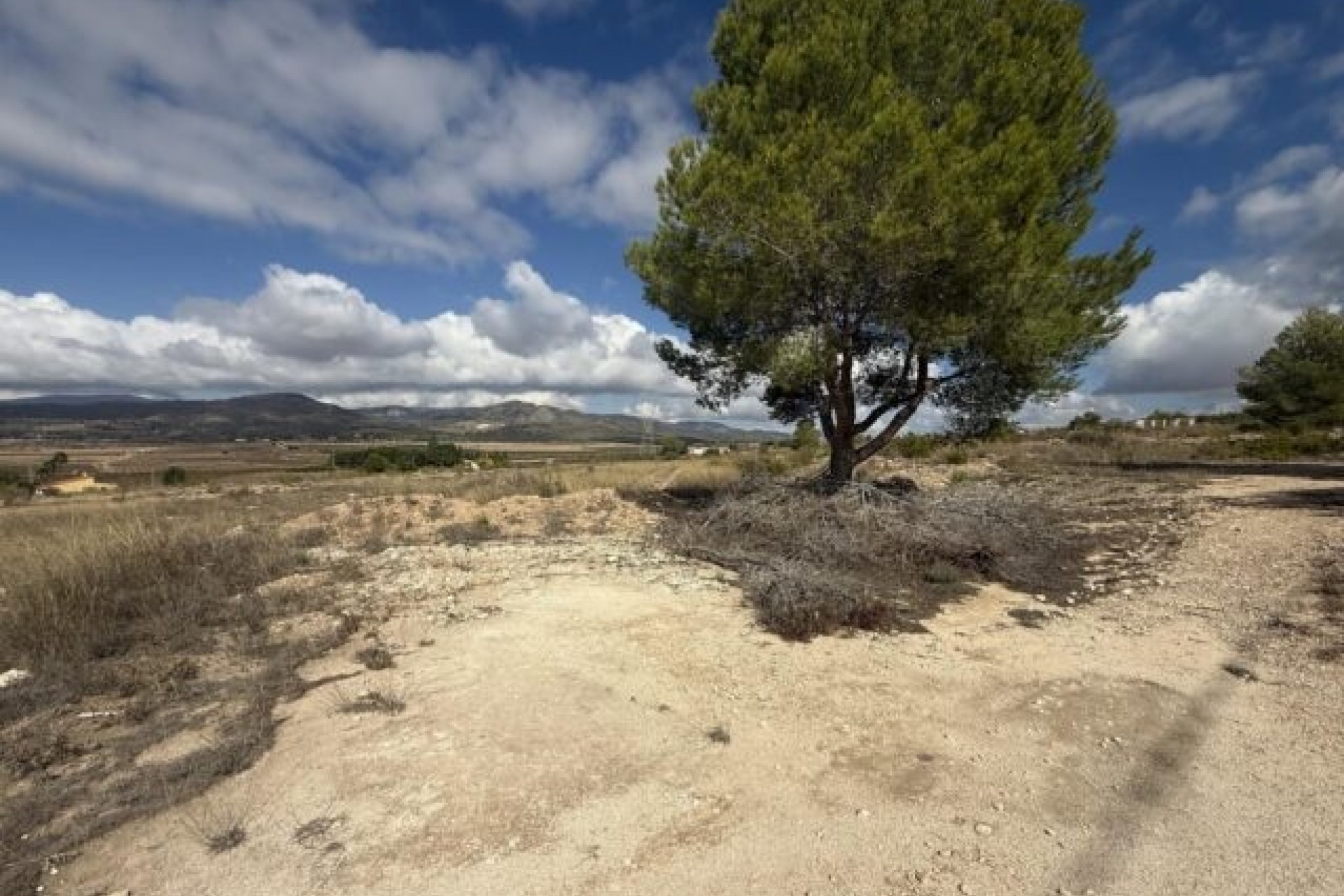 Venta - Parcela / Terreno -
Monóvar